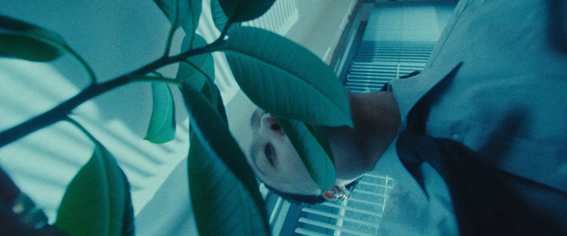 Still 2025-08-21 152511_1.11.4.jpg