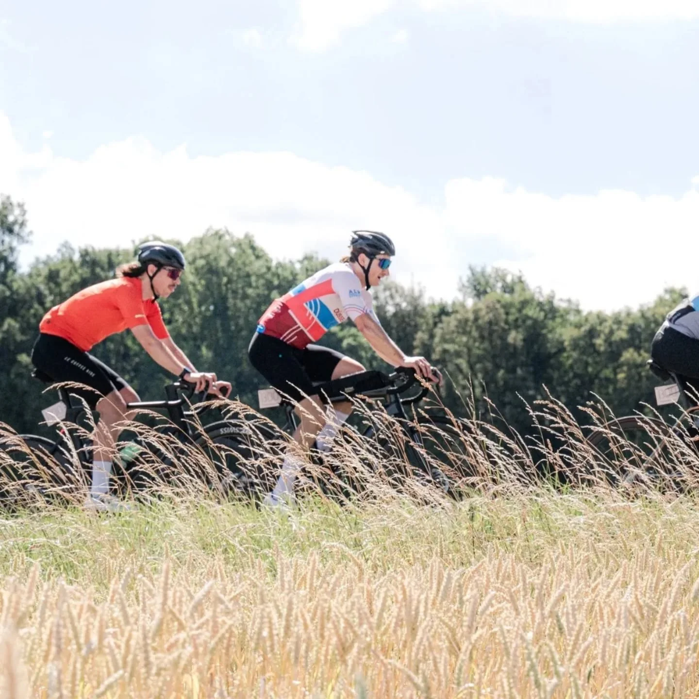 cycling unfiltered❗️

Einfach sch&ouml;n war unsere diesj&auml;hrige Ausgabe! Gute Stimmung, perfektes Wetter, nur nette Leute. 🤗
Wir haben Lust euch auch im n&auml;chsten Jahr mit D&uuml;sseldorf300 den l&auml;ngsten, sch&ouml;nsten, anstrengenden,