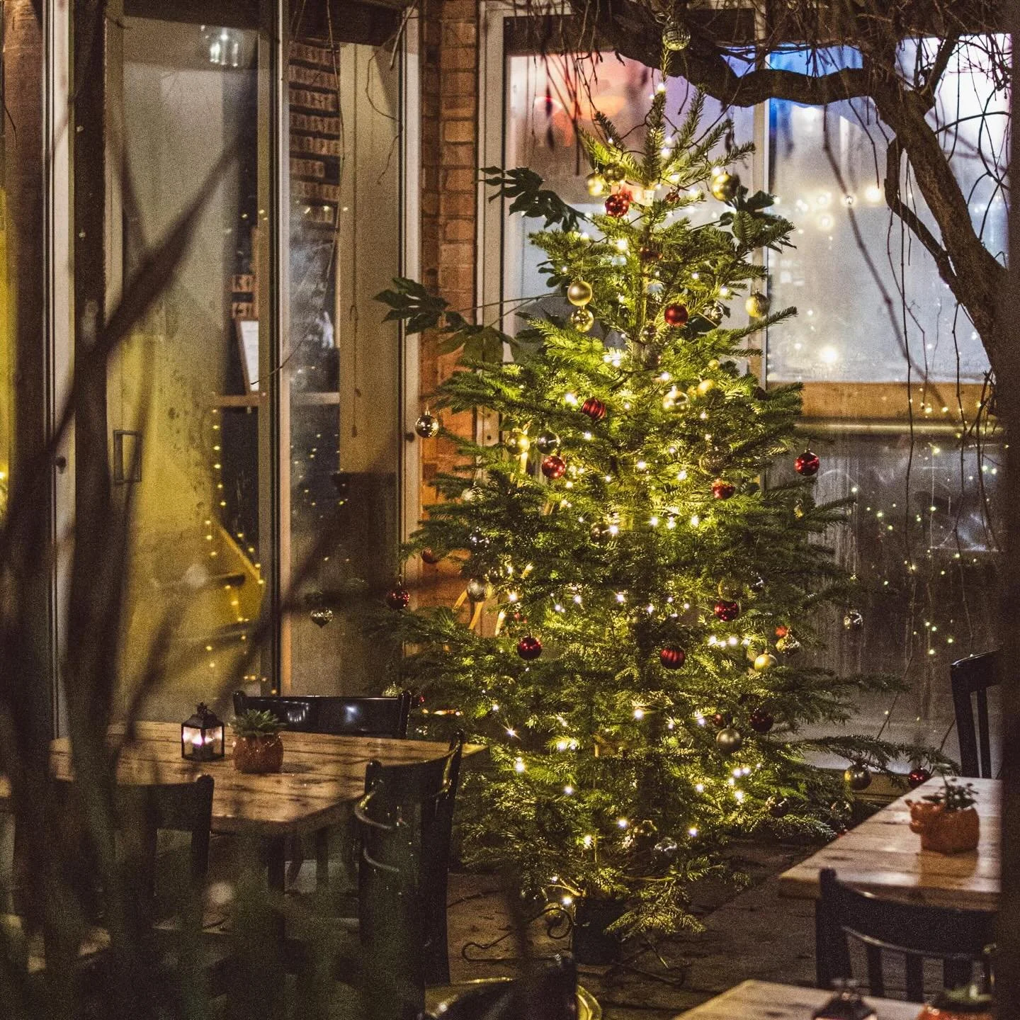 -𝙏𝙝𝙖𝙣𝙠 𝙔𝙤𝙪-

We want to say a huge thank you to everyone who joined us for our Christmas parties 🎄
We are truly grateful for each and every one of you who came out to celebrate with us.

The love, energy, and festive vibes meant so much to u