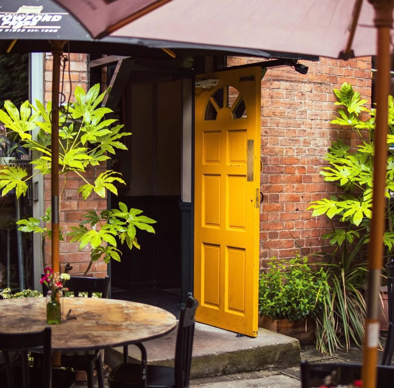 -𝙏𝙝𝙖𝙣𝙠 𝙮𝙤𝙪 𝙛𝙧𝙤𝙢 𝙖𝙡𝙡 𝙤𝙛 𝙪𝙨 𝙖𝙩 2 𝘽𝙧𝙞𝙙𝙜𝙚𝙨-

We&rsquo;re so happy to be back cooking, shaking cocktails, and doing what we love.
Seeing so many familiar faces &mdash; and welcoming new ones through the door &mdash; honestly me