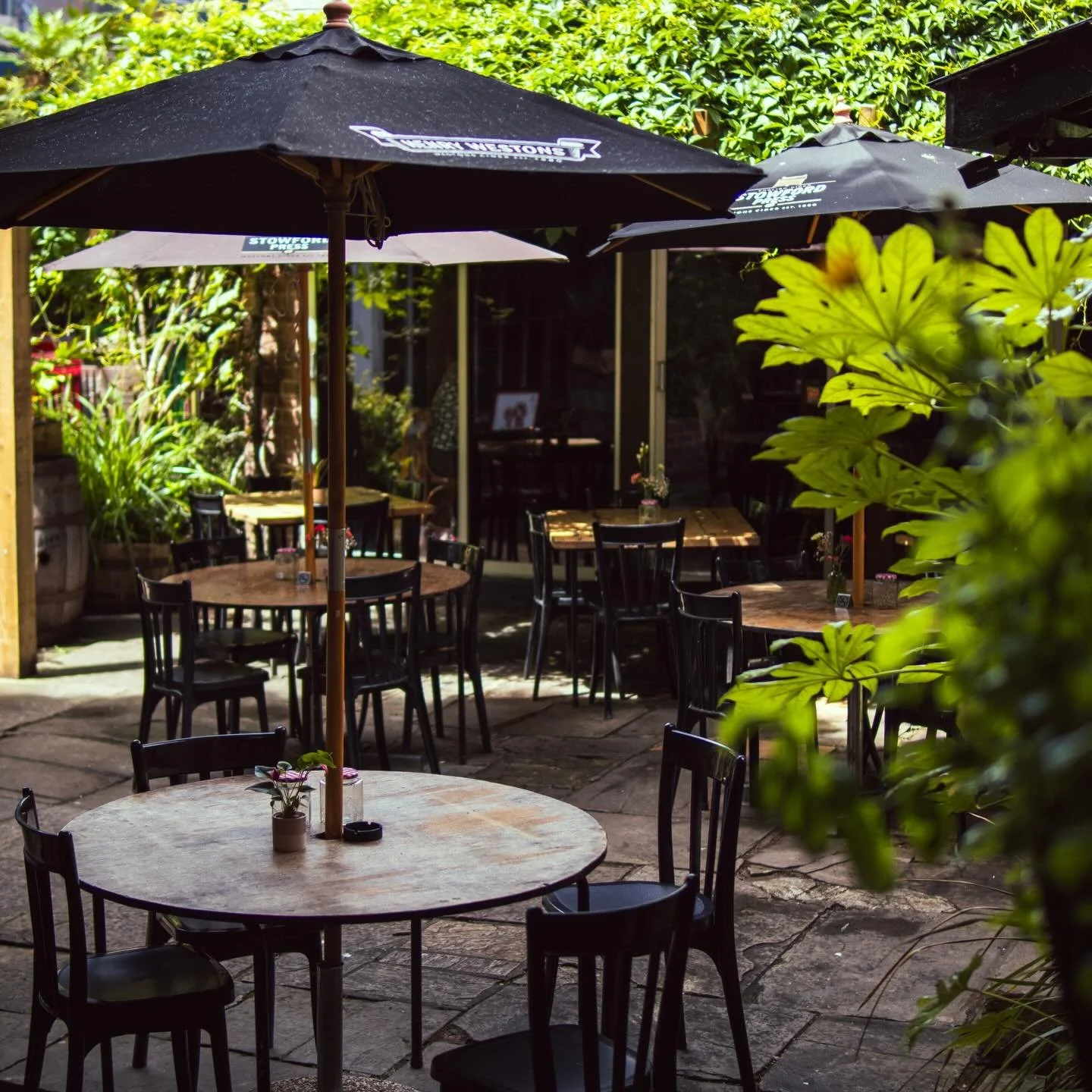 -𝙎𝙥𝙧𝙞𝙣𝙜 𝙖𝙩 2 𝘽𝙧𝙞𝙙𝙜𝙚𝙨-

Our chef&rsquo;s favourite time of the year is here and we couldn&rsquo;t be more excited. We&rsquo;re working on new recipes with seasonal ingredients and heading out to pick one of our favourites &mdash; wild g