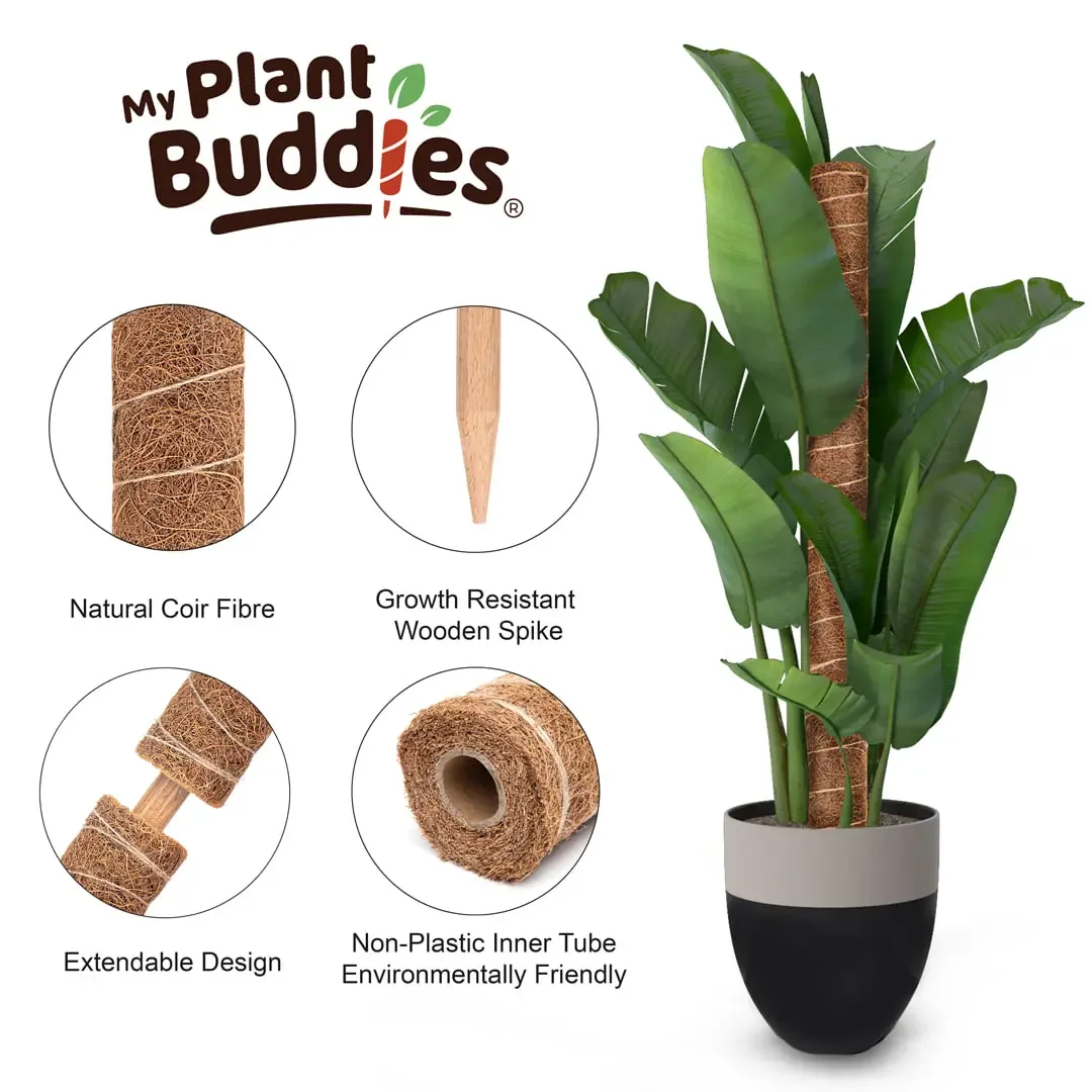 amazon lifestyle features plant buddies.webp