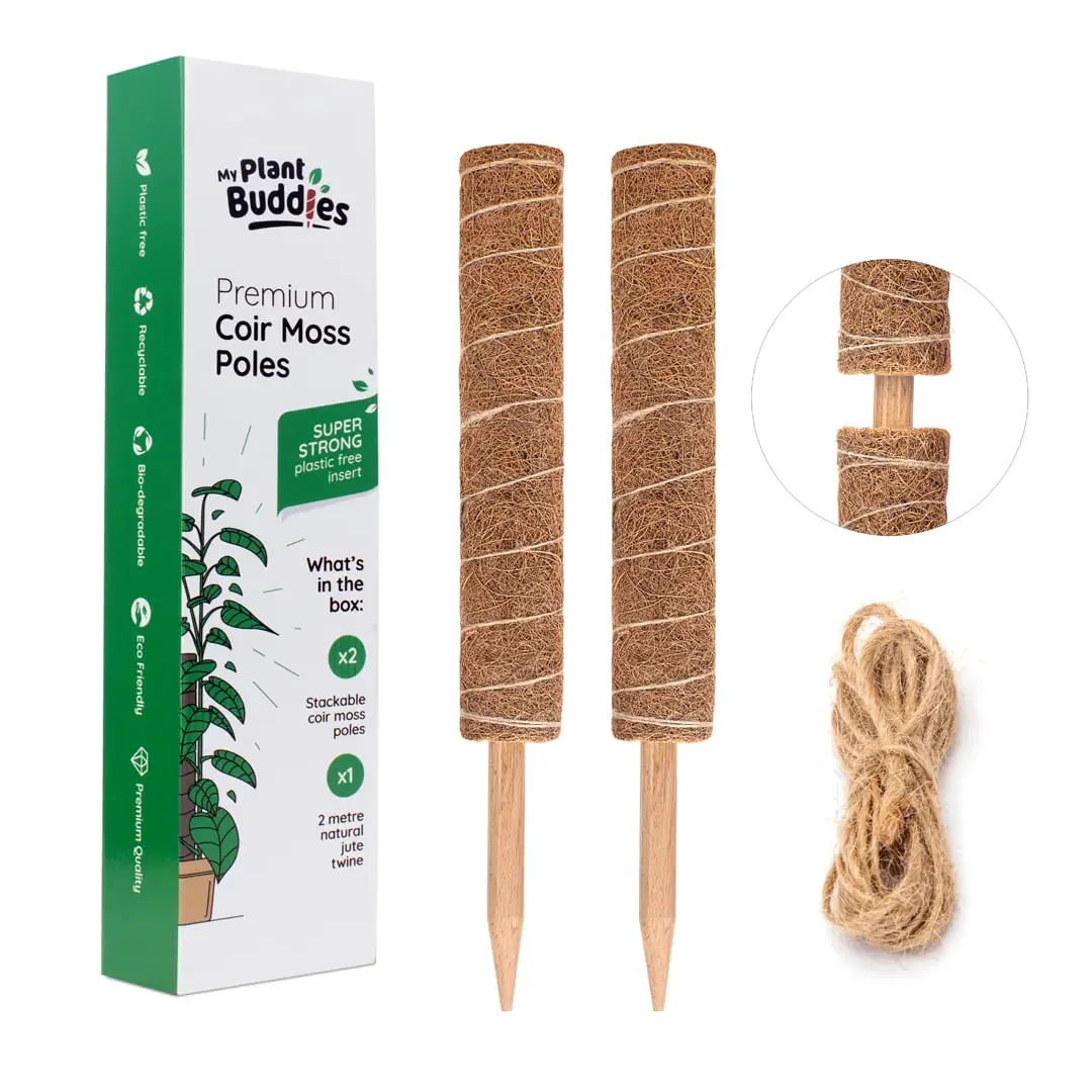 amazon hero a plant buddies.webp