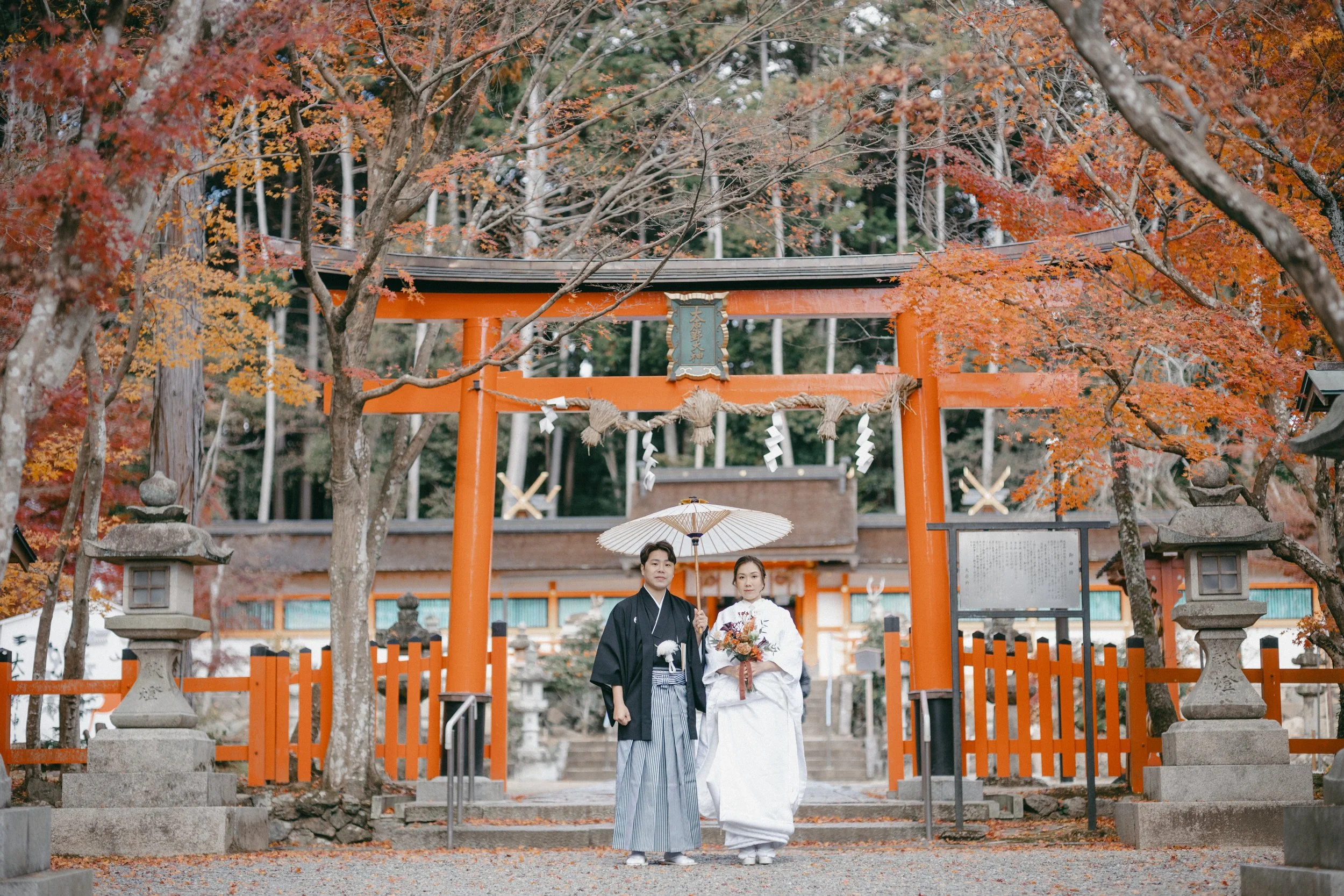 A bride and groom in traditional Japanese wedding attire standing under a Japanese parasol at a shrine gate amidst autumn trees.