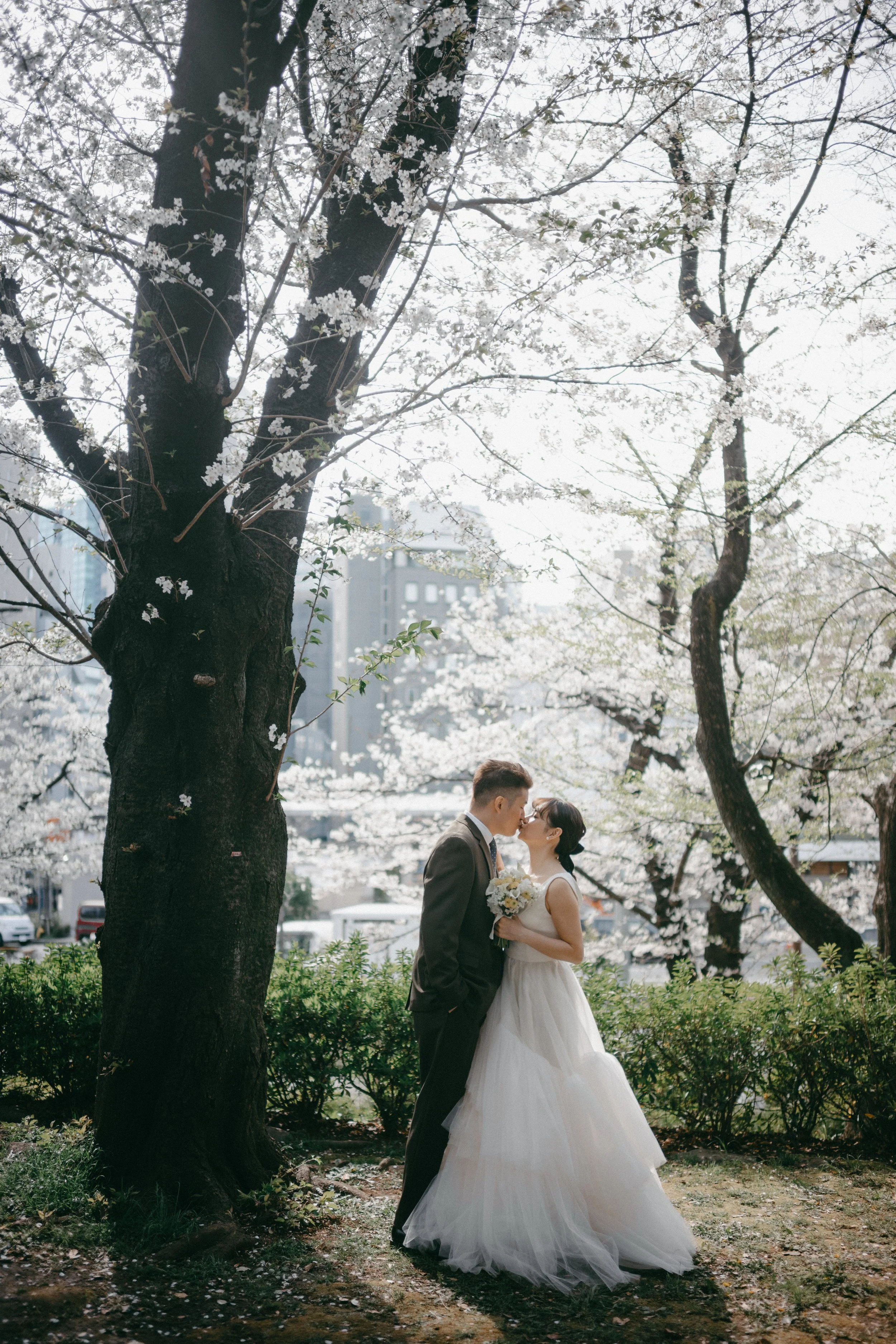 A bride and groom standing close and sharing a kiss in a park with blooming cherry blossom trees in the background.