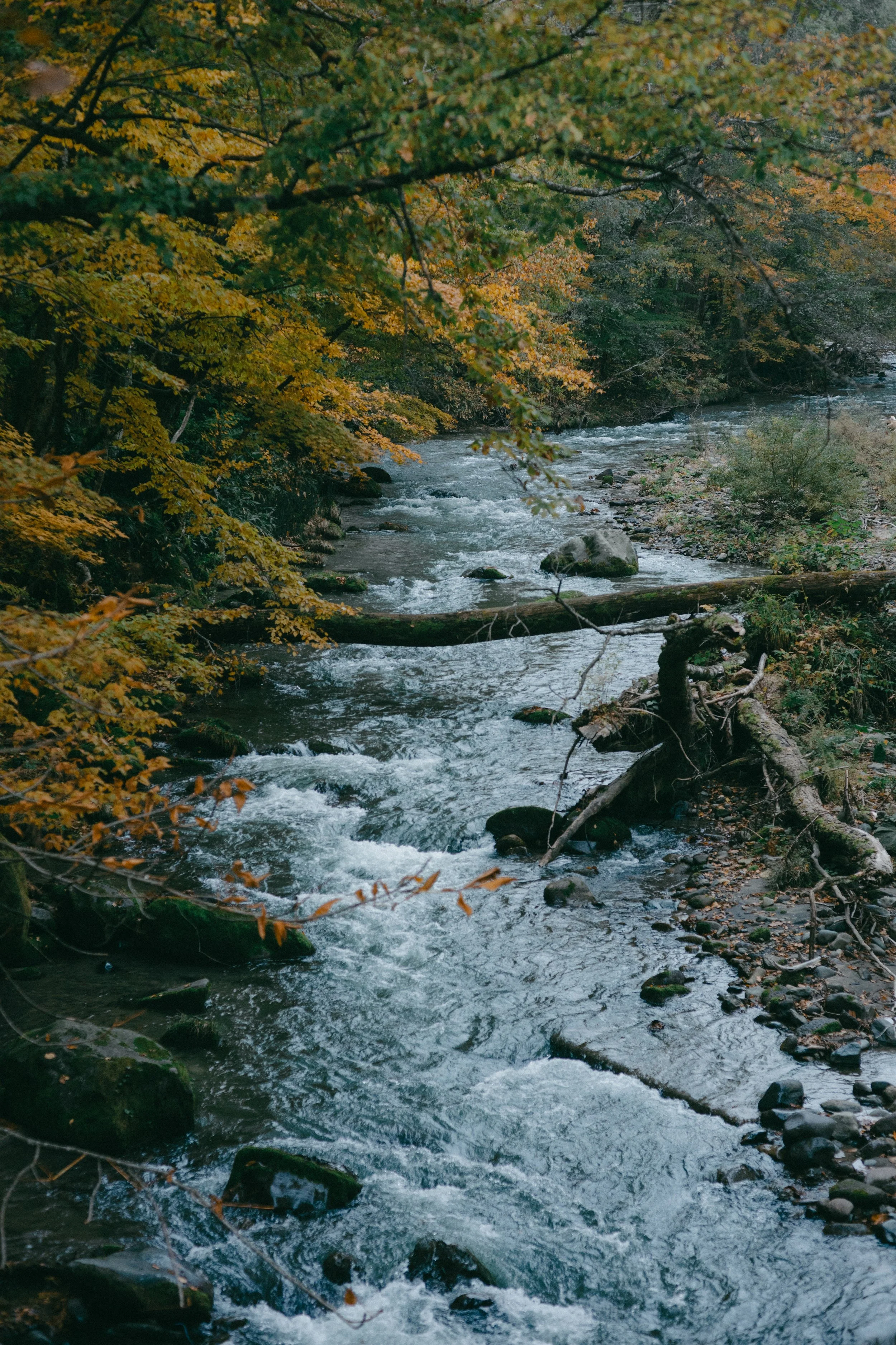 25Oct31_edited-362.jpg