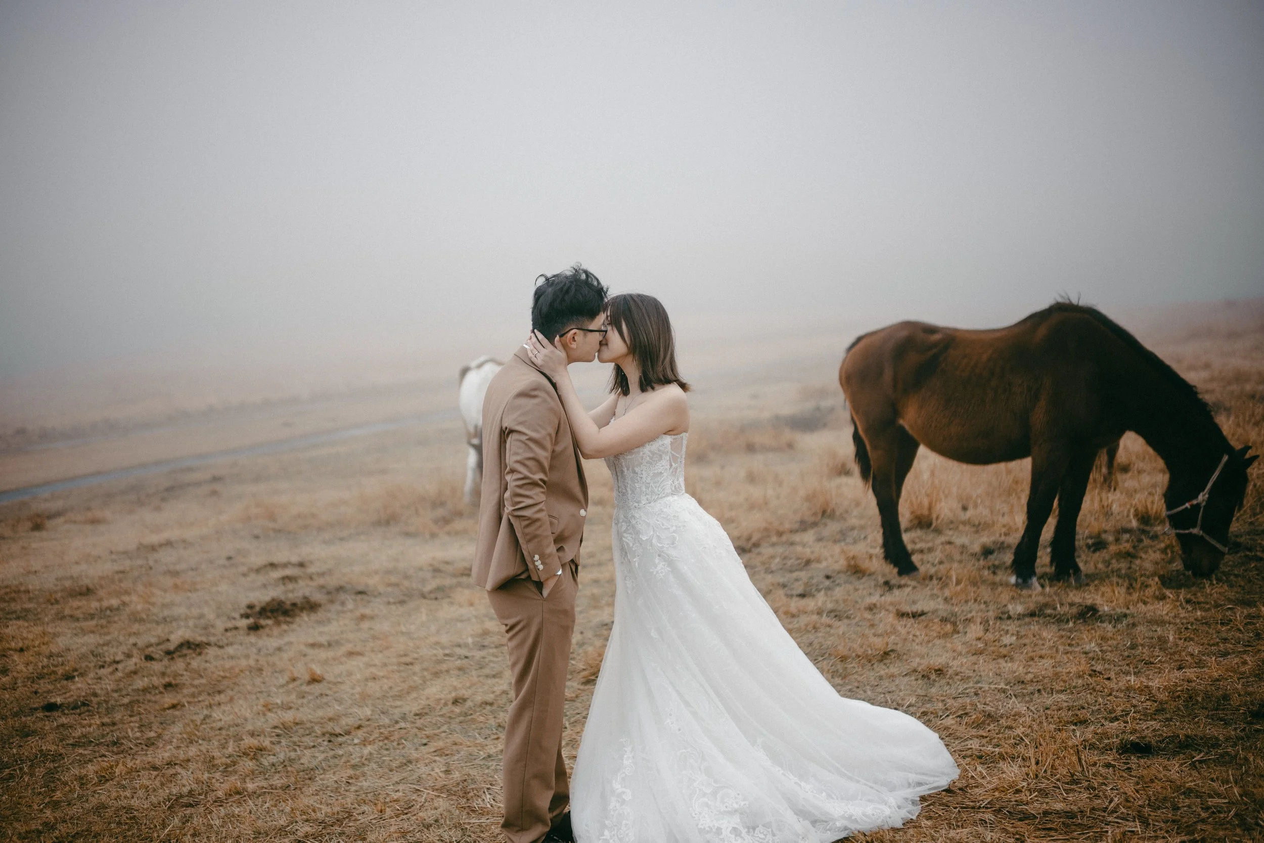 A couple in wedding attire kissing in a field with grass and horses, a misty or foggy background.