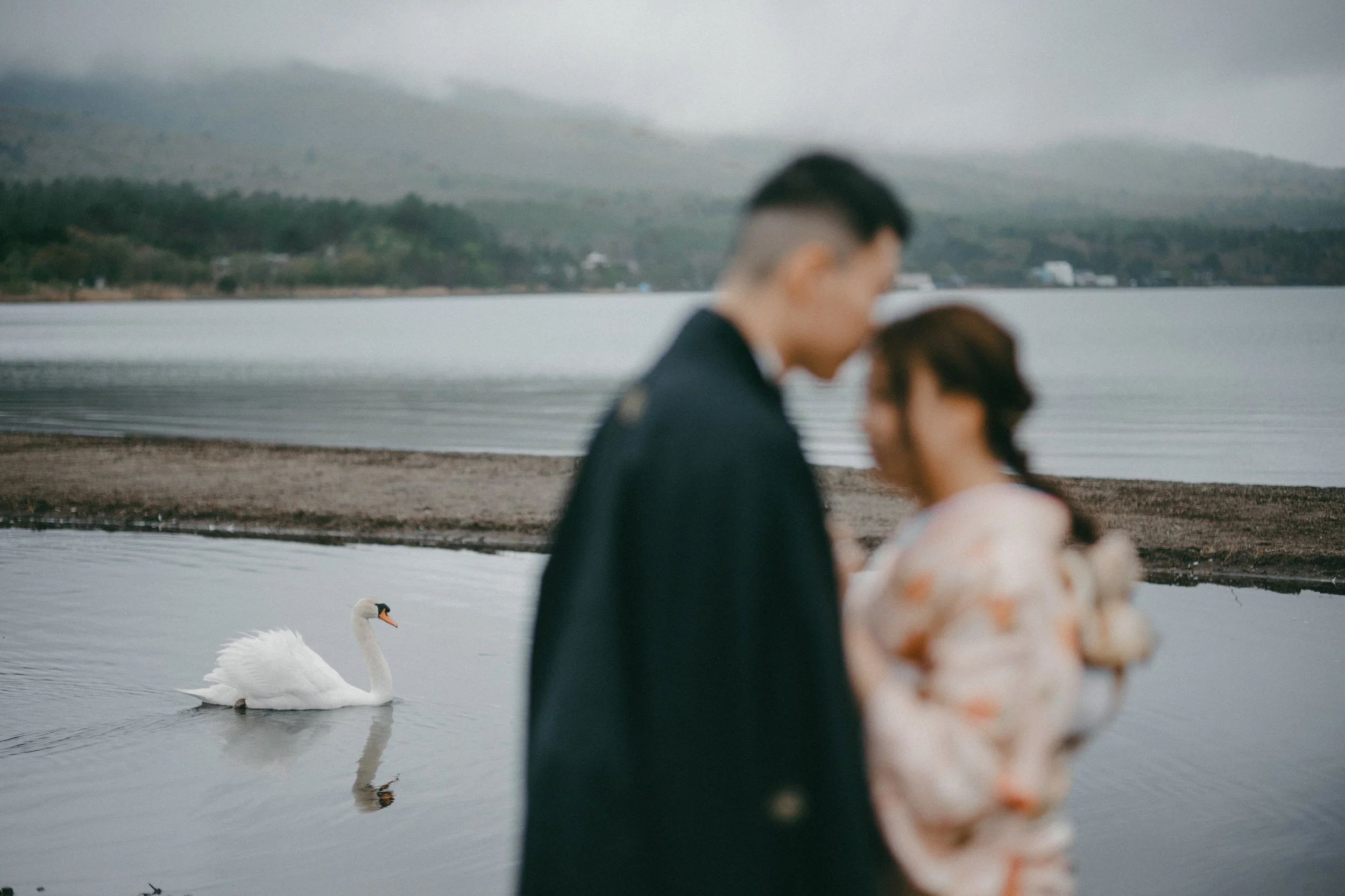 山中湖 Lake Yamanaka