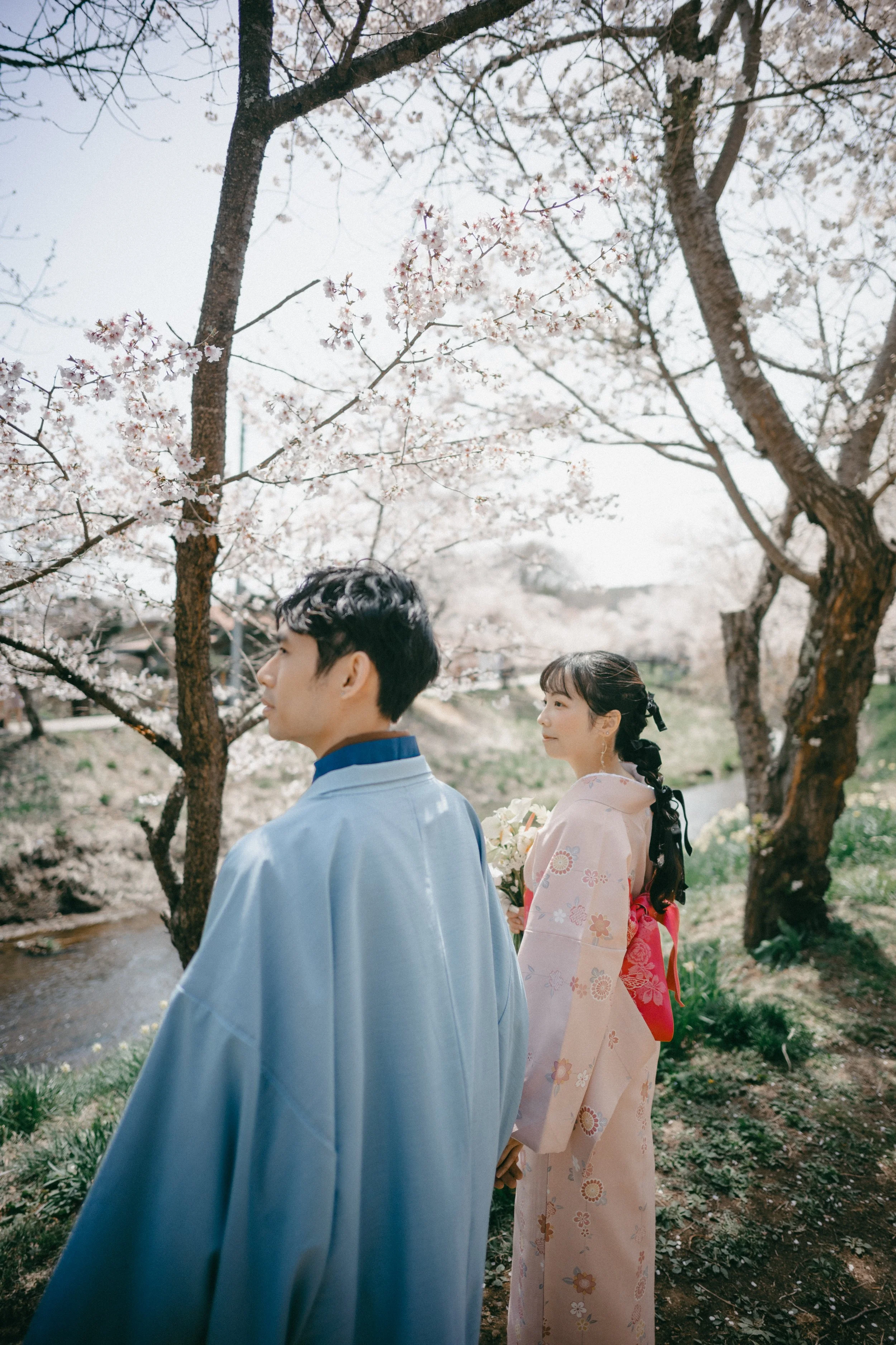 A young couple in traditional Japanese clothing, standing outdoors under cherry blossom trees in bloom.