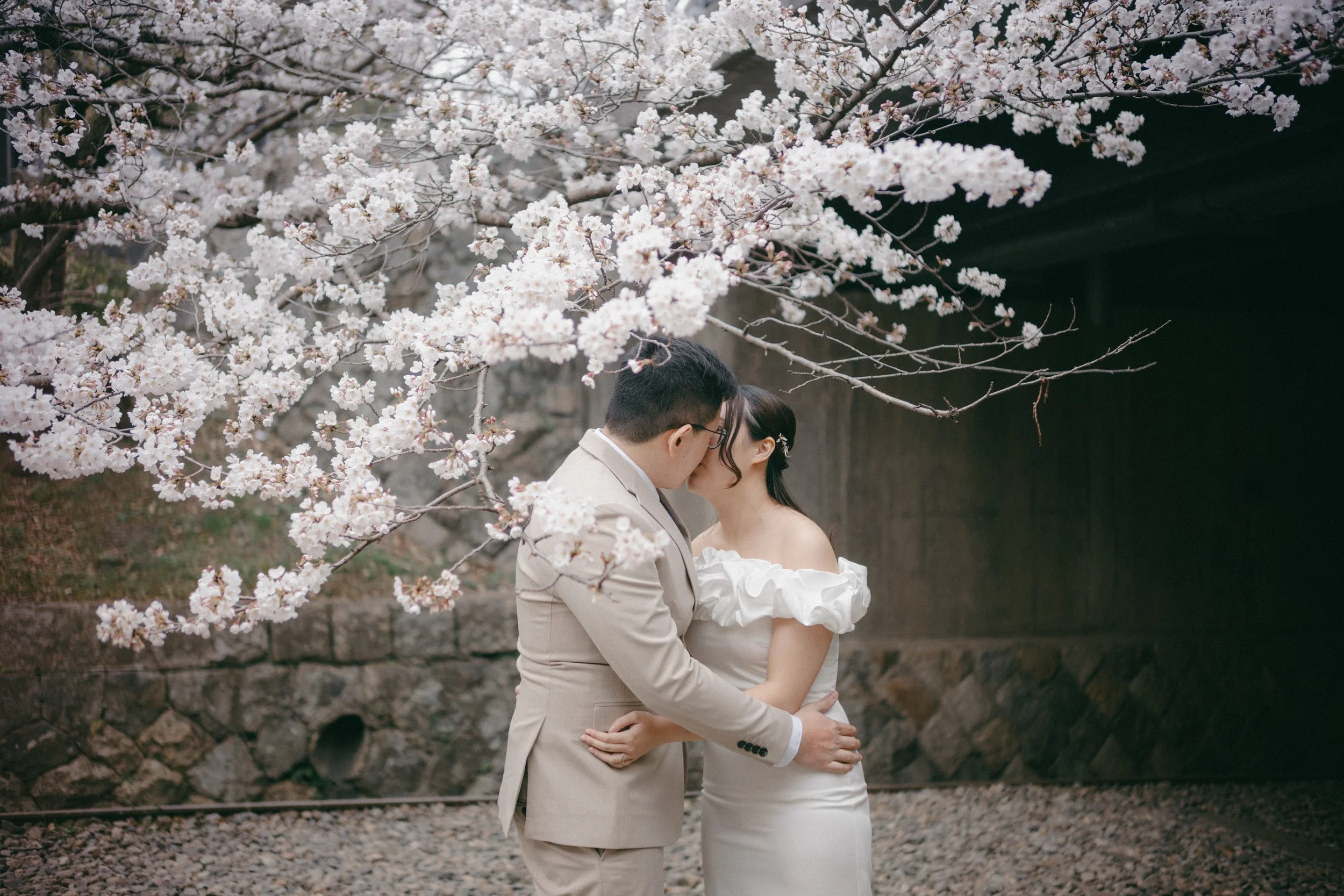 A couple in wedding attire sharing a kiss under blooming cherry blossoms.