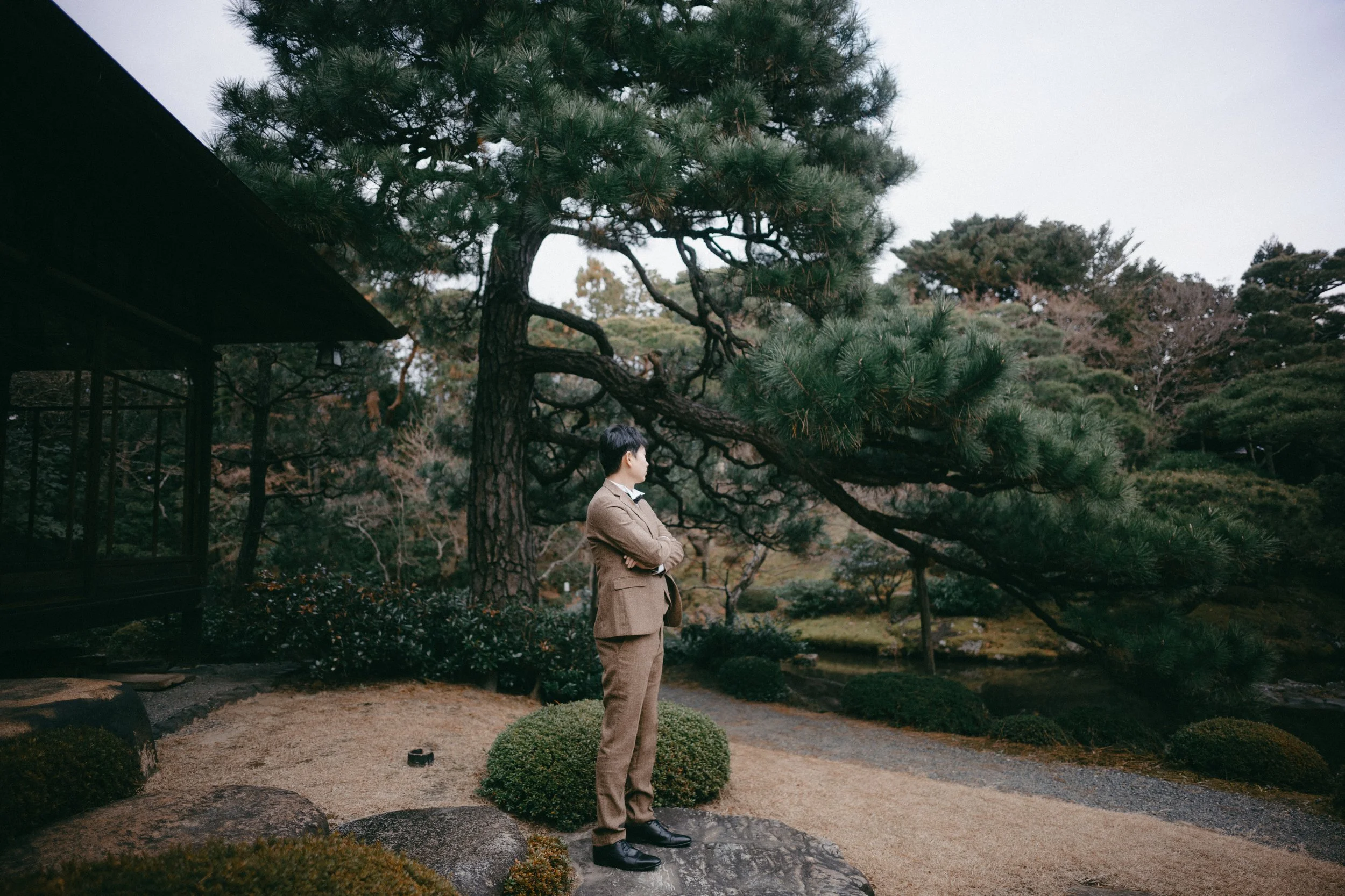A man in a brown suit stands on a rock with arms crossed, looking at a large pine tree in a traditional Japanese garden. The garden features gravel paths, rocks, bushes, and other trees in the background.