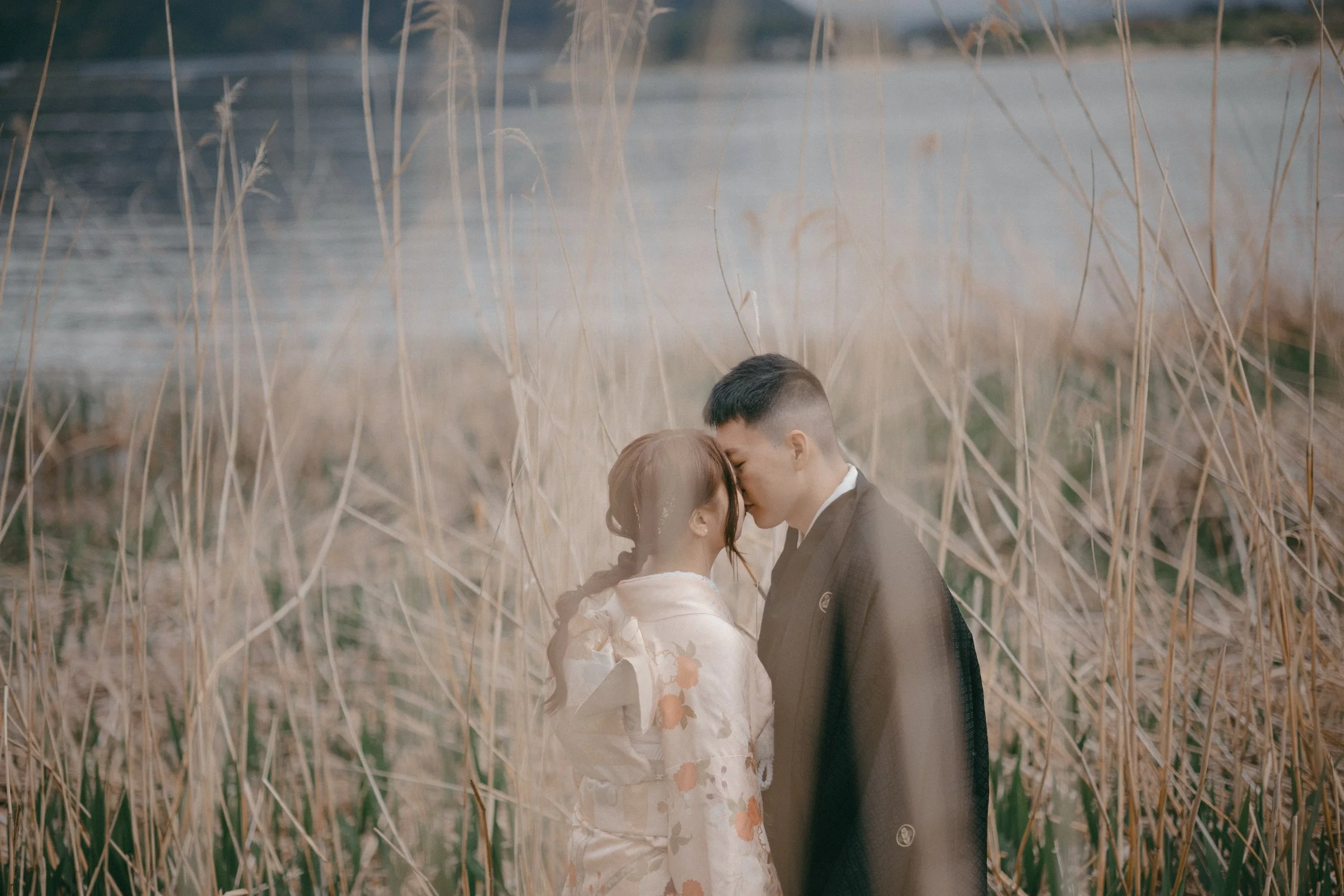 A couple sharing a kiss in a natural setting with tall dried grasses and a body of water in the background.
