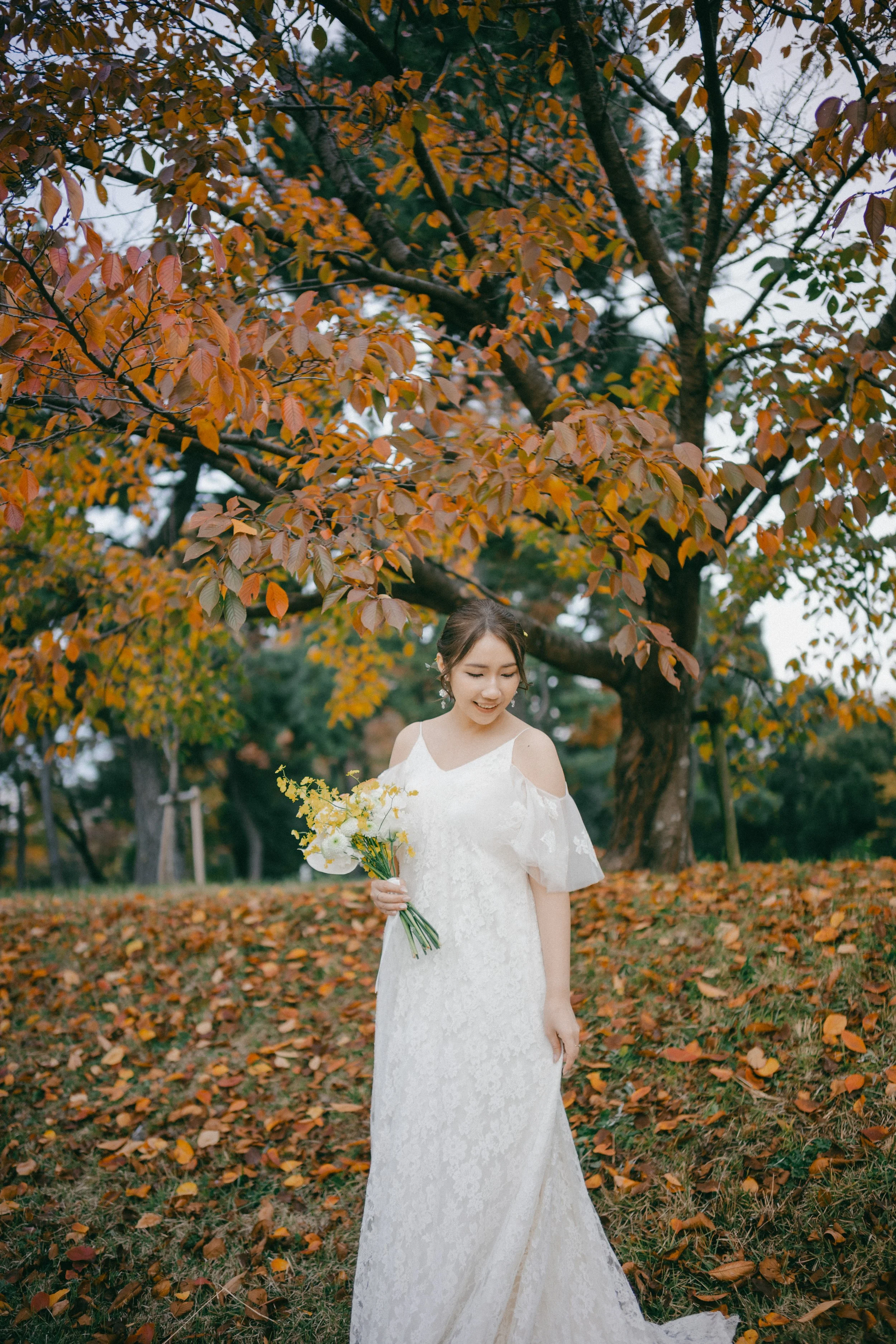 25Nov24_edited-187.jpg