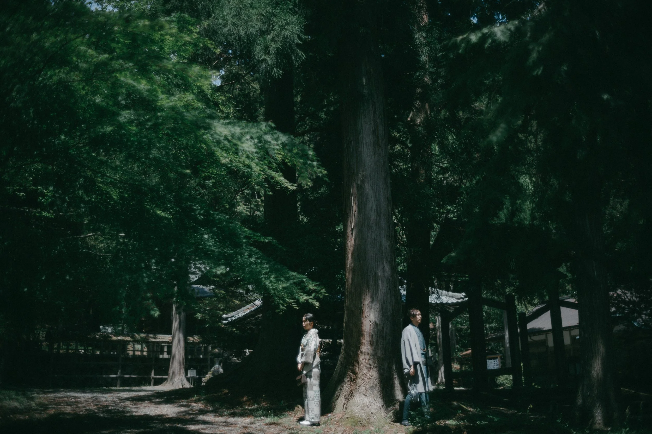 Two people dressed in traditional Japanese kimonos standing near large trees in a forested area.