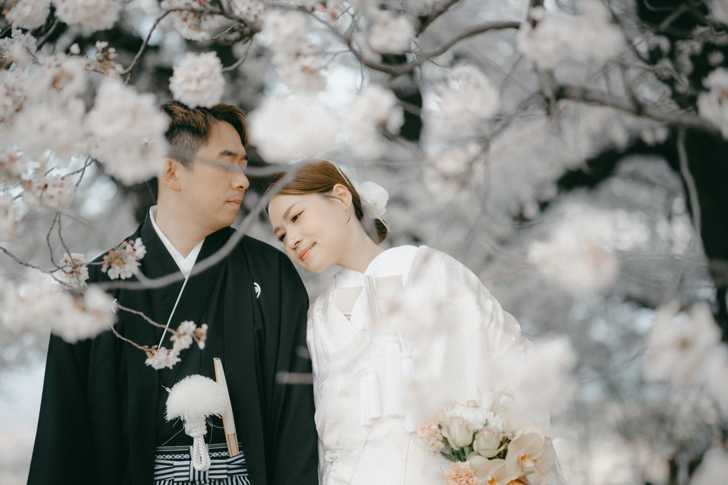 A bride and groom in traditional Japanese wedding attire, standing close together under cherry blossom trees.