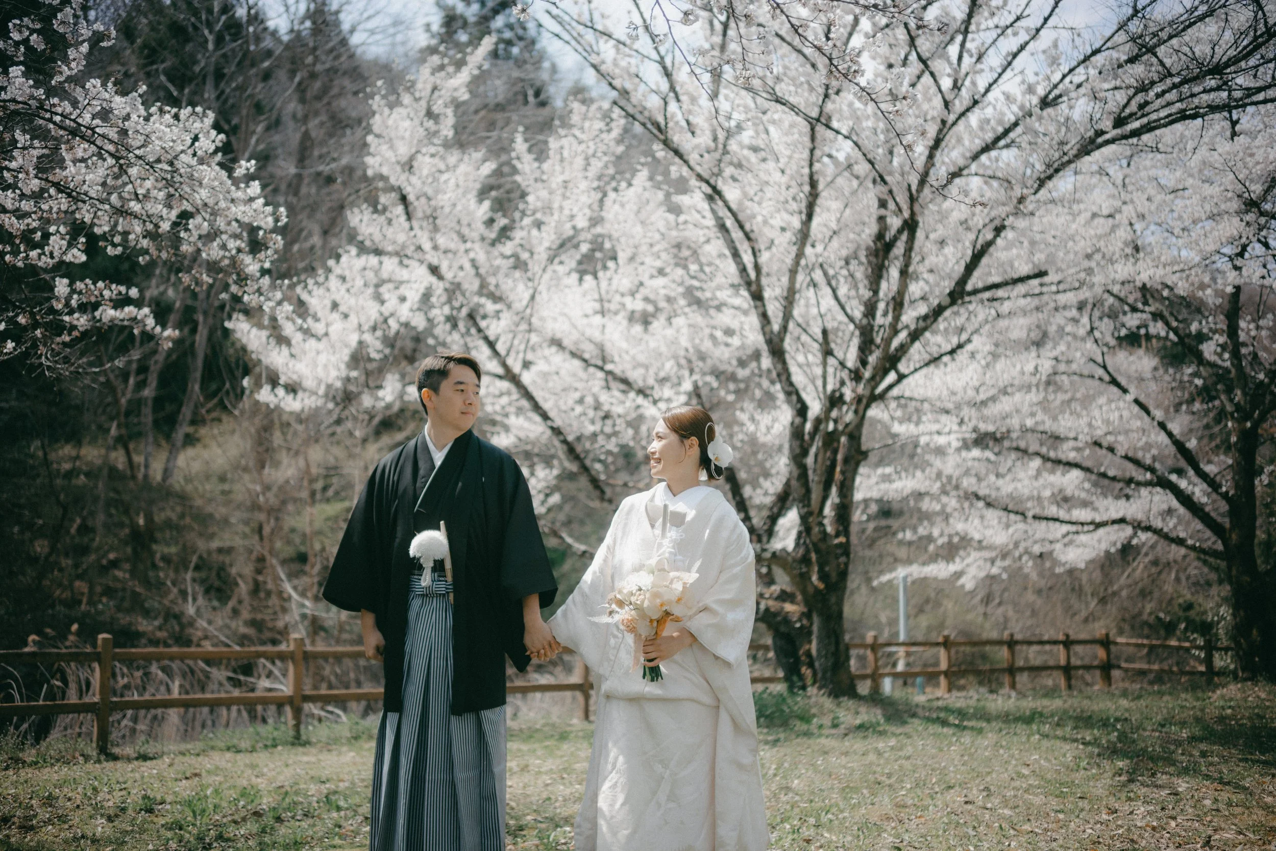 A couple in traditional Japanese wedding attire holding hands in a park with blooming cherry blossom trees.