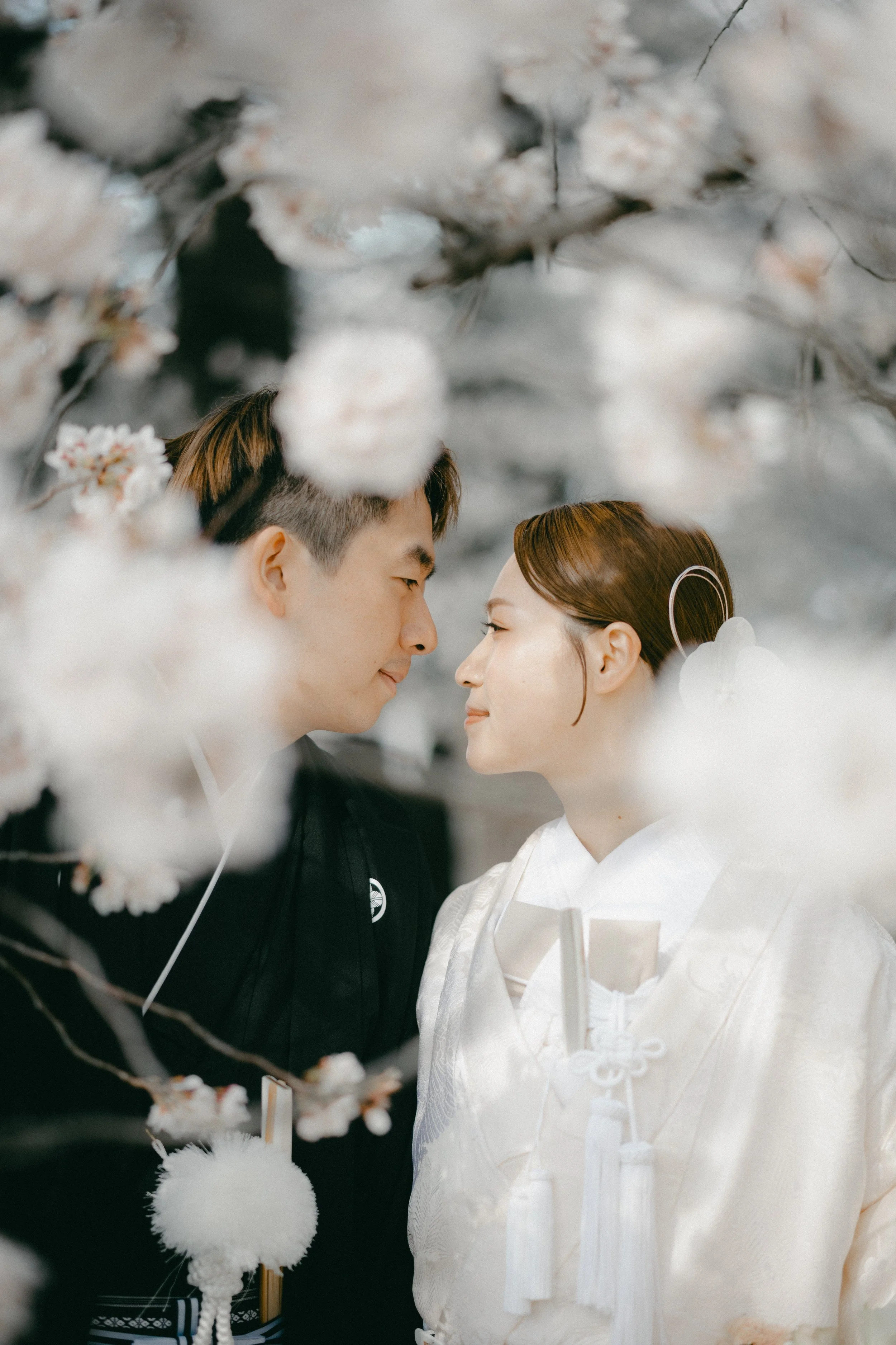 A couple dressed in traditional Japanese wedding attire, facing each other with foreheads almost touching, surrounded by blooming cherry blossoms.
