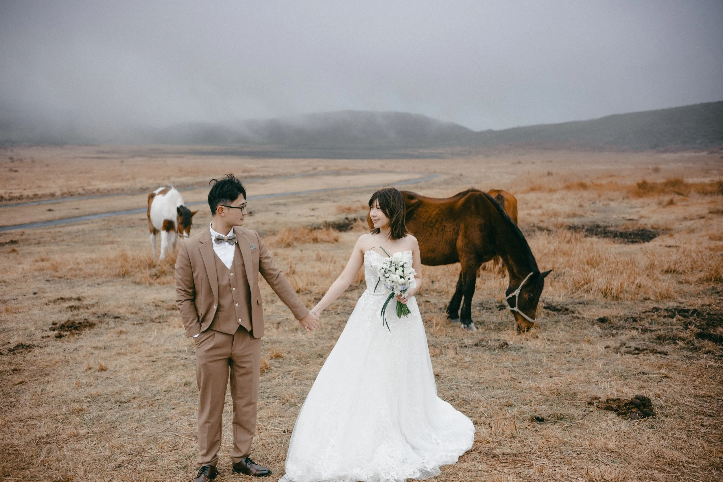 A bride and groom holding hands outdoors in a field with brown grass, with two horses grazing nearby, on a cloudy day.