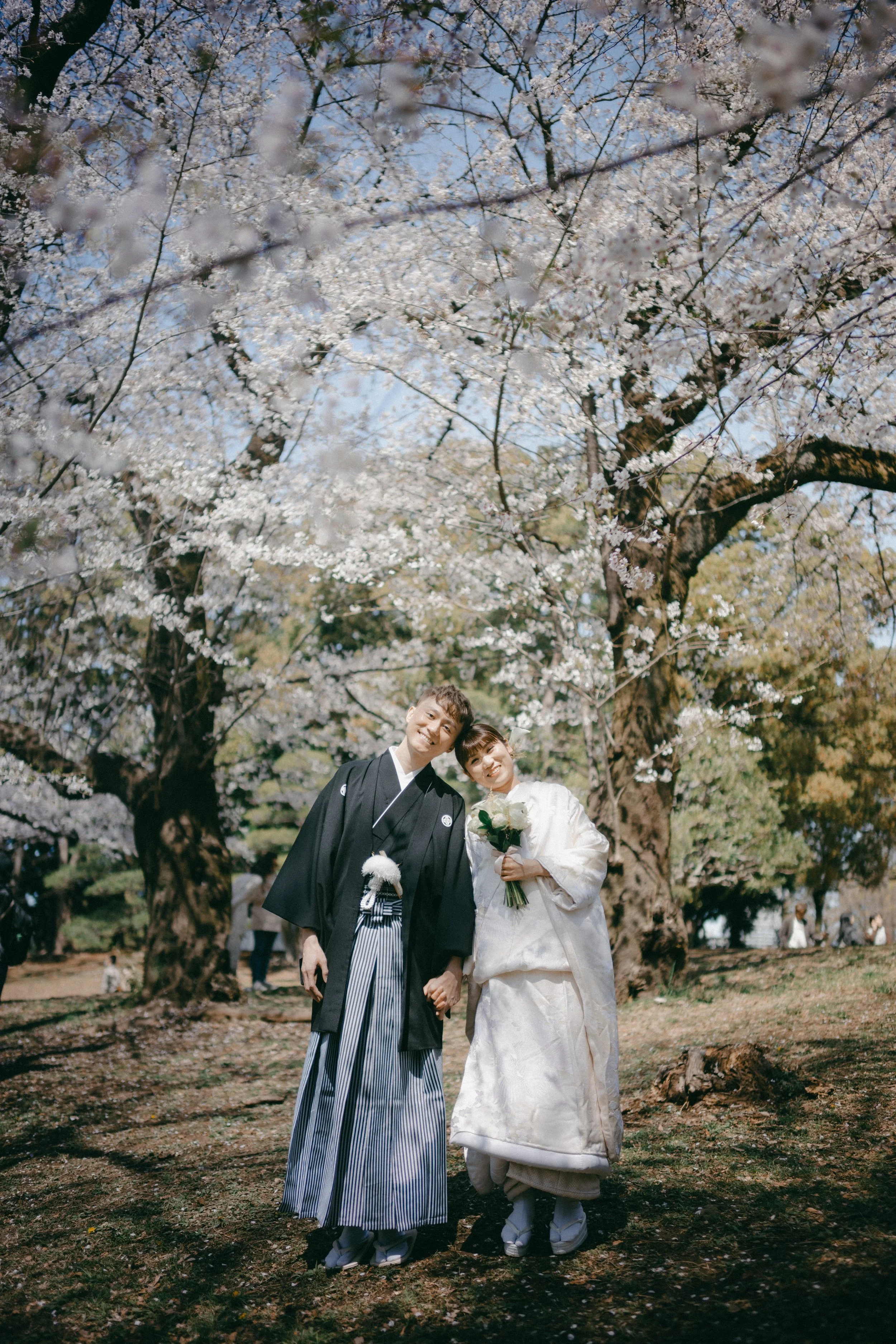 A bride and groom in traditional Japanese wedding attire standing under blooming cherry blossom trees outside during daytime, holding hands and smiling.