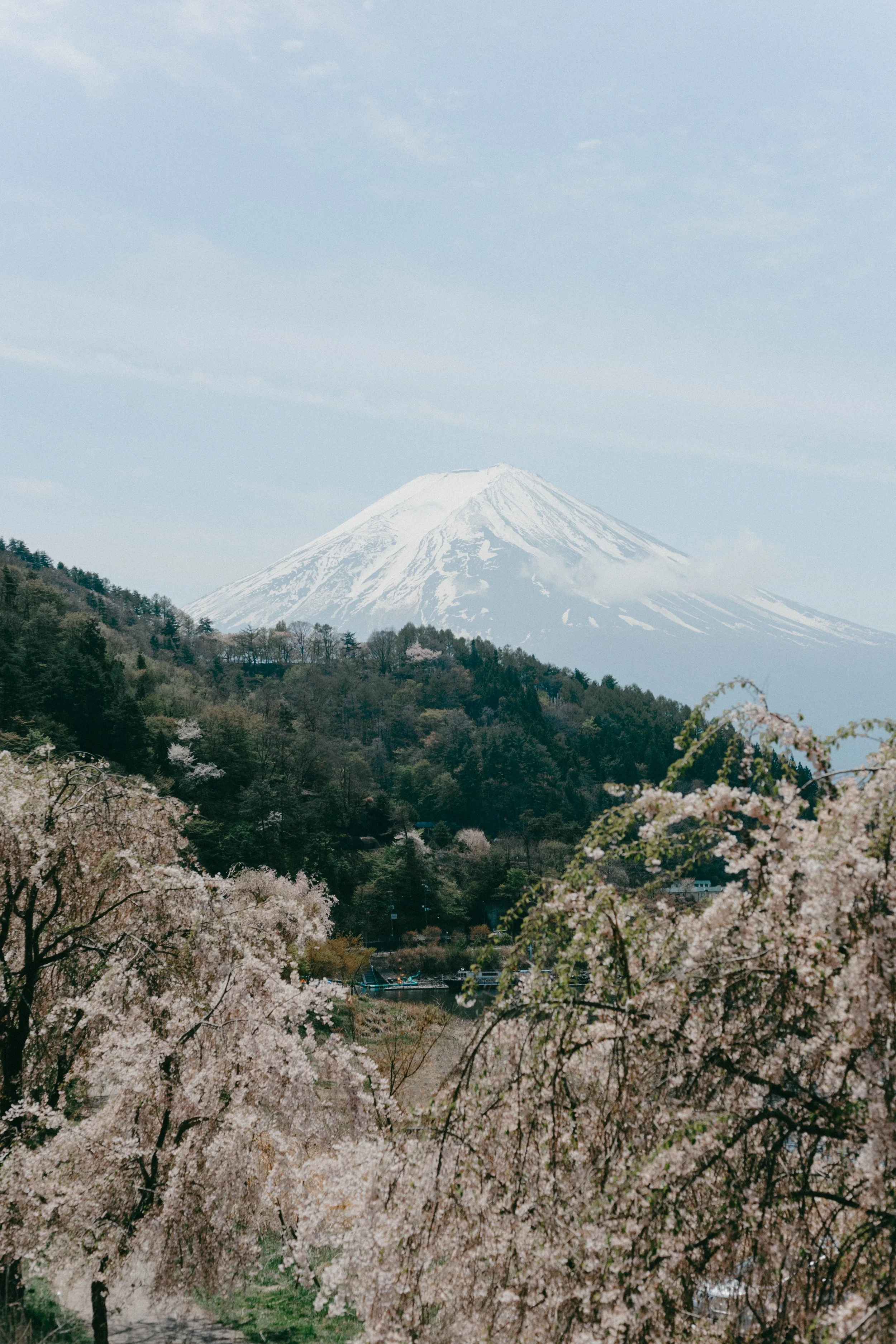 26Apr18_edited-2.jpg