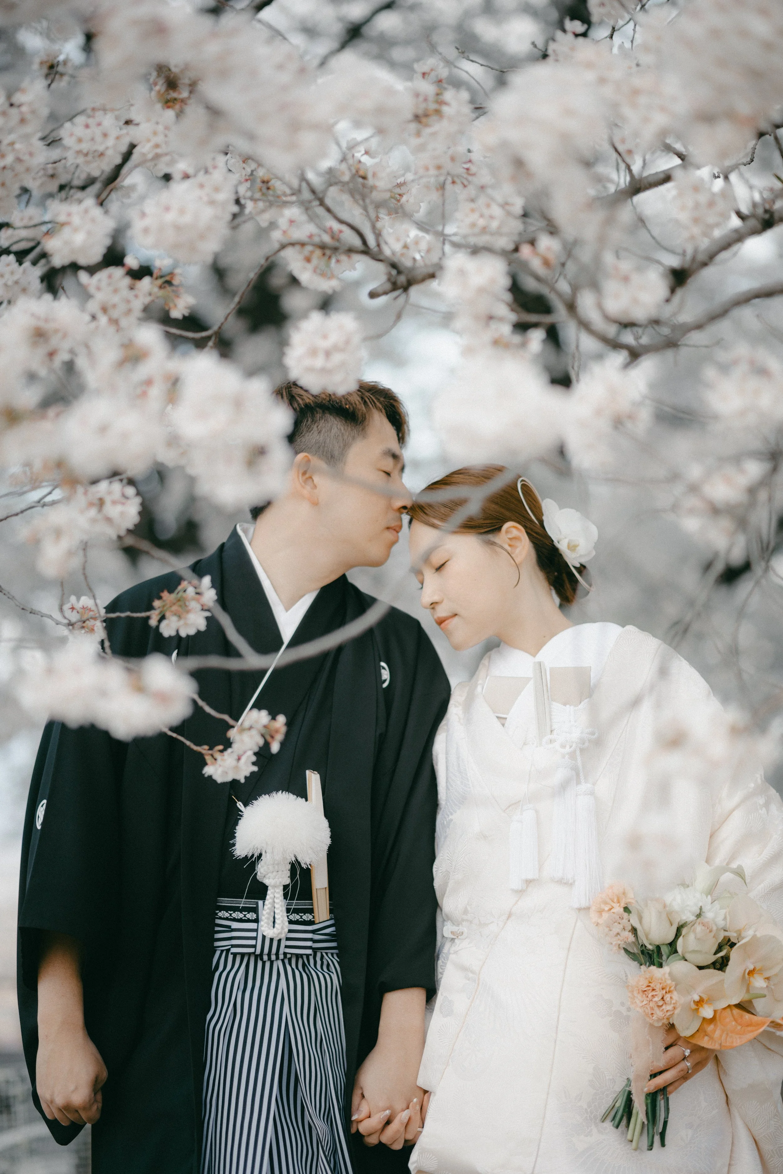 A bride and groom wearing traditional Japanese wedding attire, holding hands and standing close under blooming cherry blossom trees.