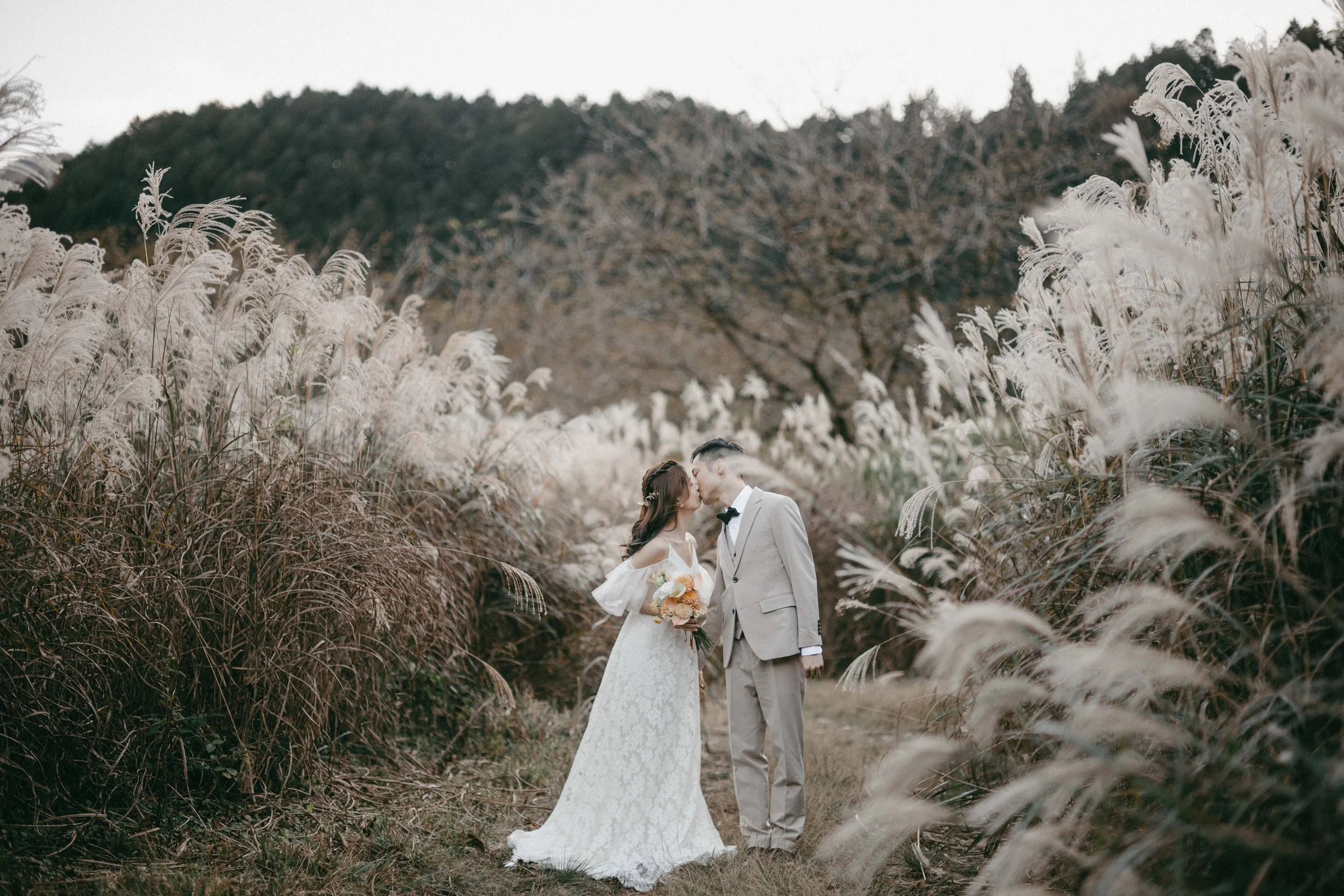 A bride and groom sharing a kiss in a field of tall, white pampas grass with mountains in the background.