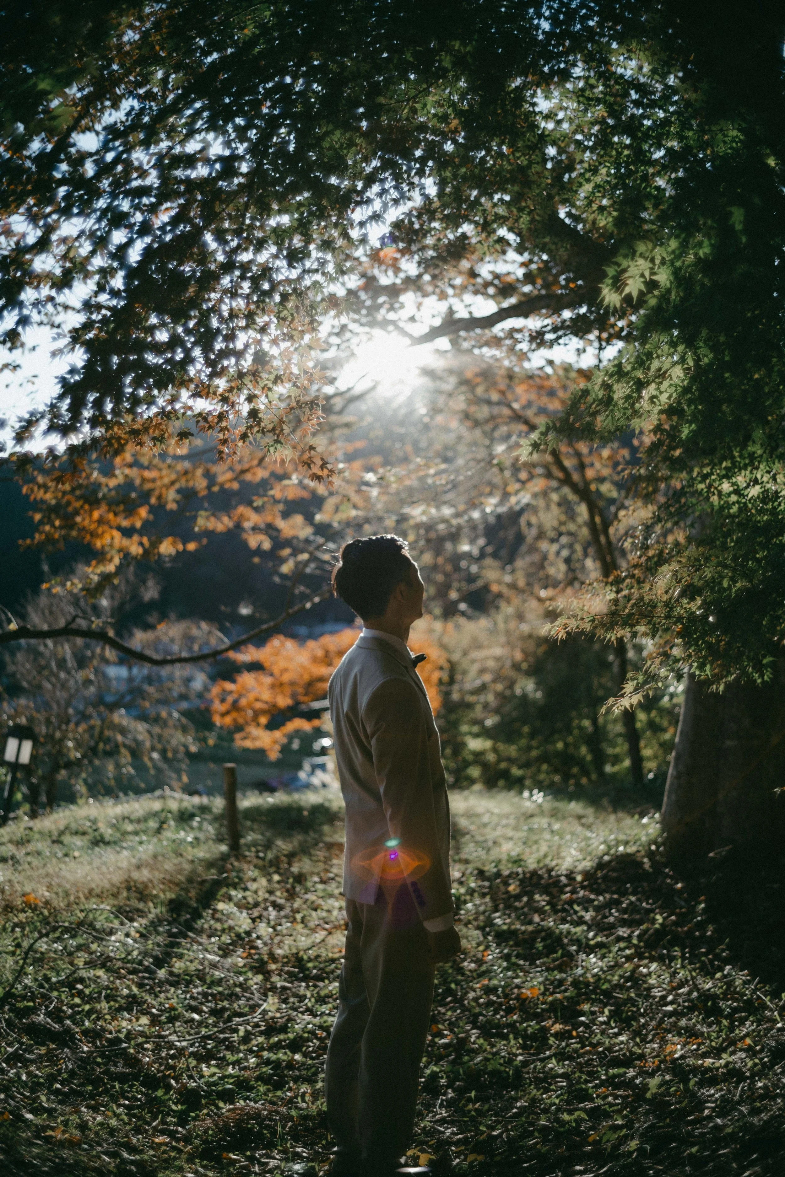 A man in formal attire stands in a sunlit forest with autumn-colored leaves, gazing upwards, with sunlight filtering through the trees.