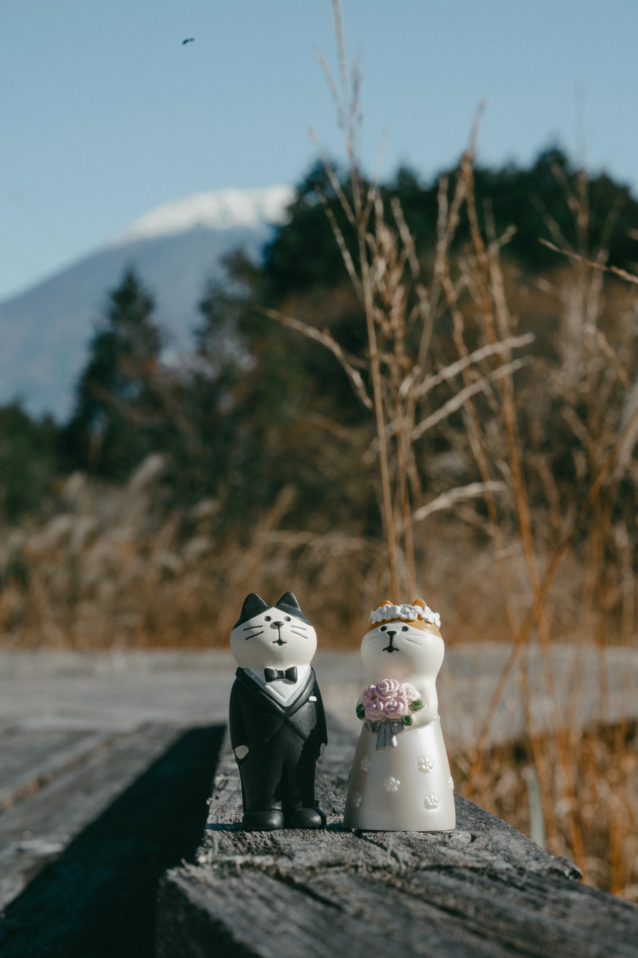 Decorative cat figurines dressed as a bride and groom standing on a weathered wooden surface outdoors, with a mountainous landscape and clear sky in the background.