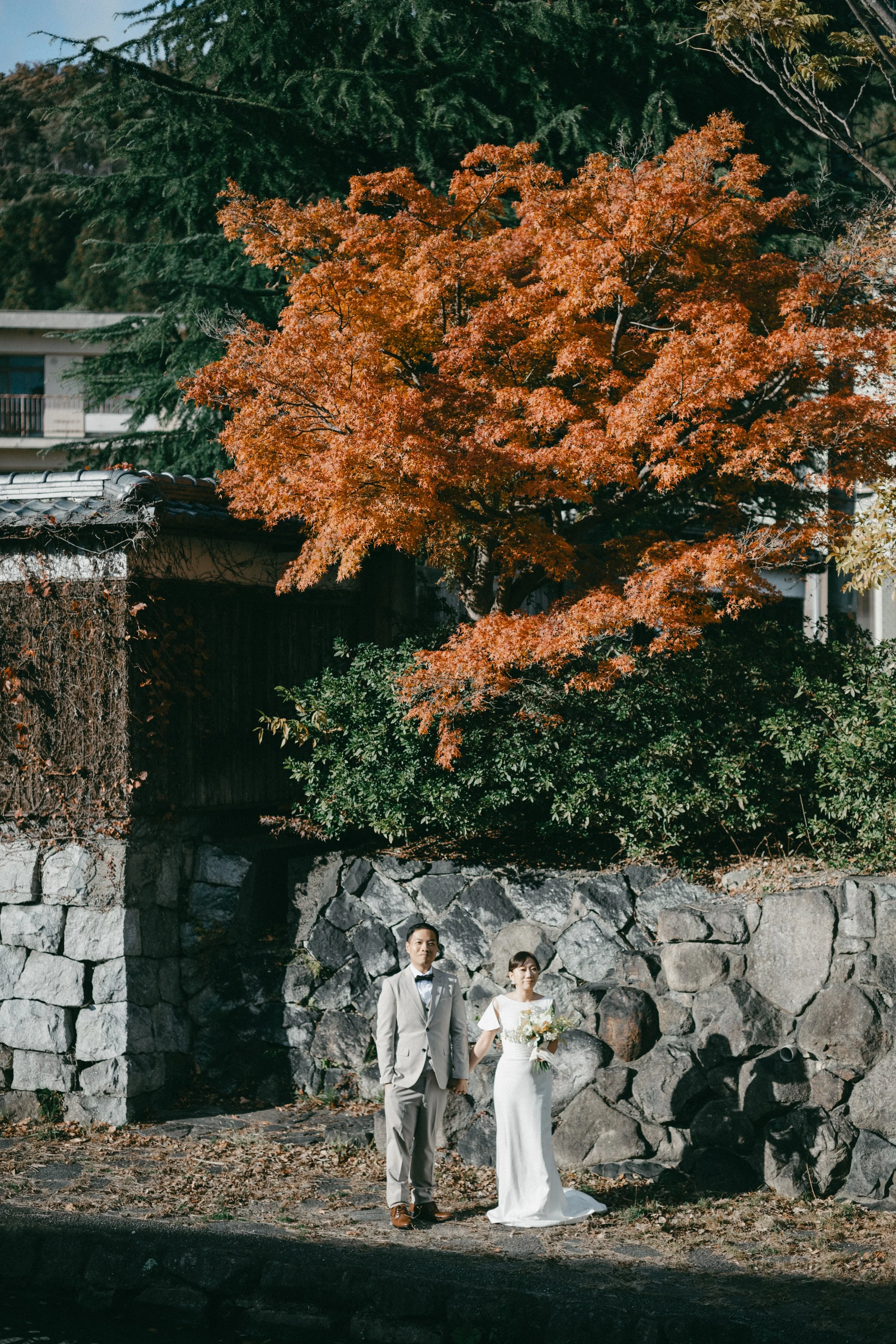 A bride and groom holding hands outdoors beneath a large, vibrant orange autumn tree with a stone wall in the background.