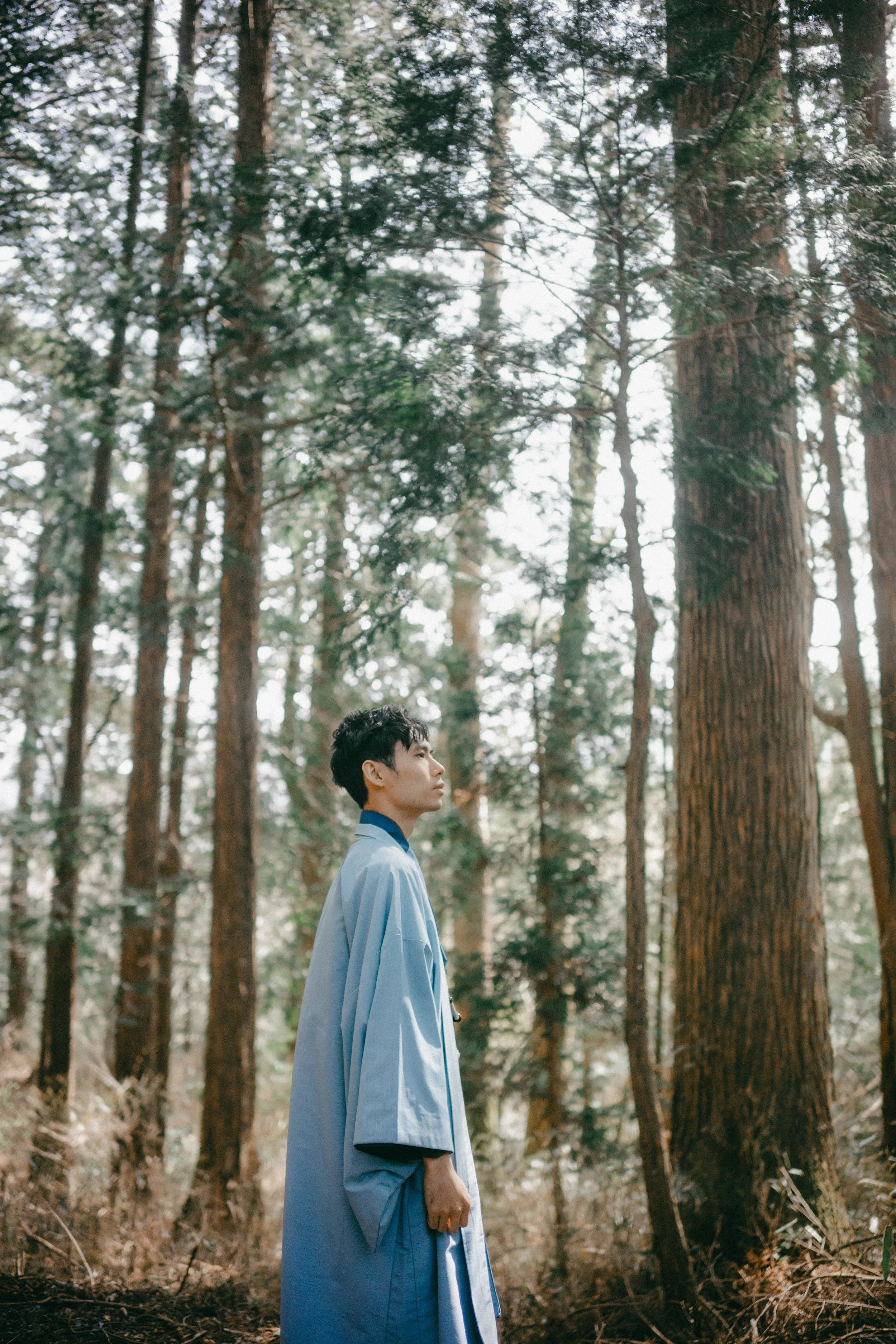 A young man in traditional Japanese attire standing in a forest with tall trees.