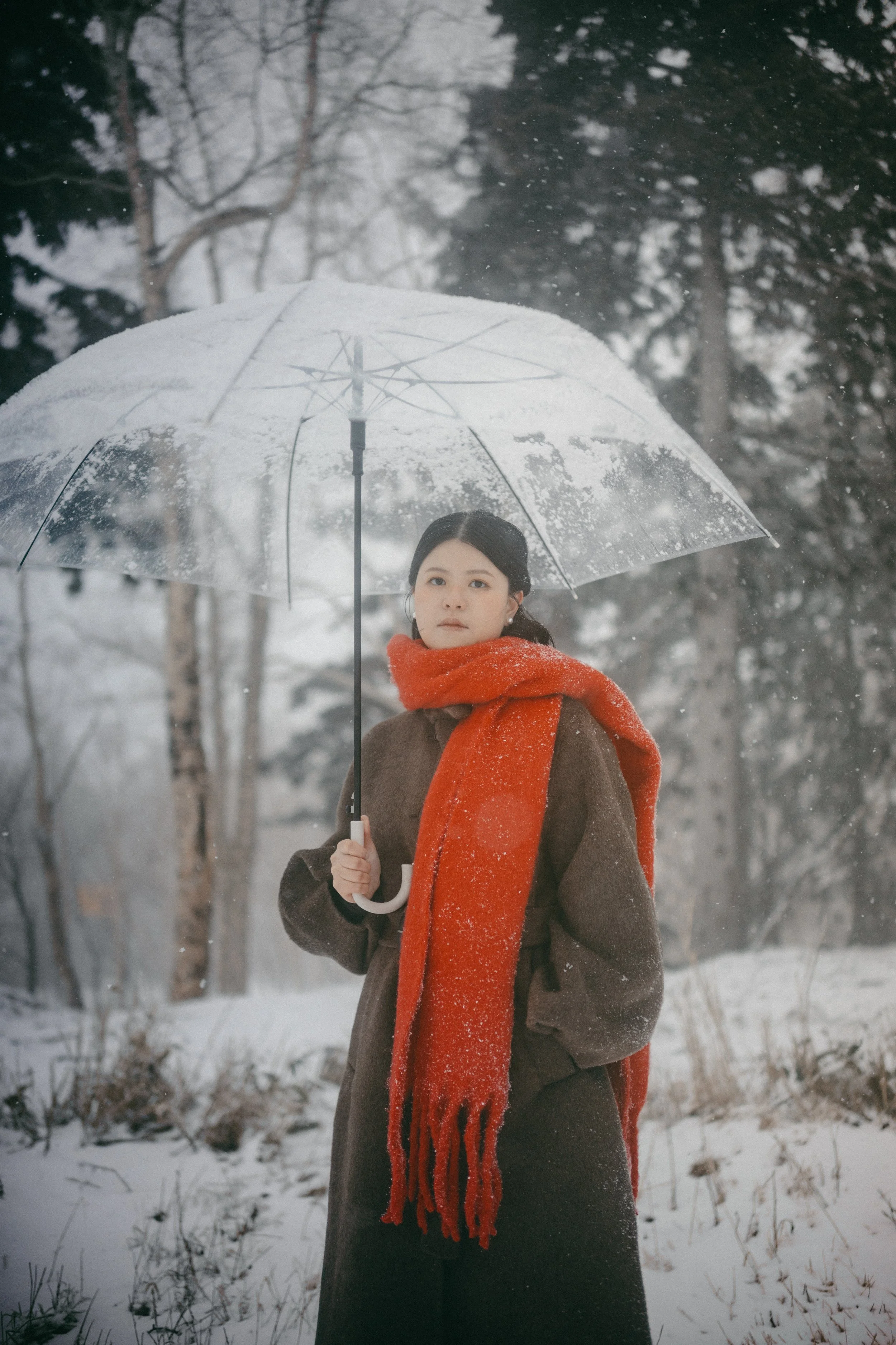 A woman in a brown coat and red scarf holding a transparent umbrella in a snowy outdoor setting surrounded by snow-covered trees.