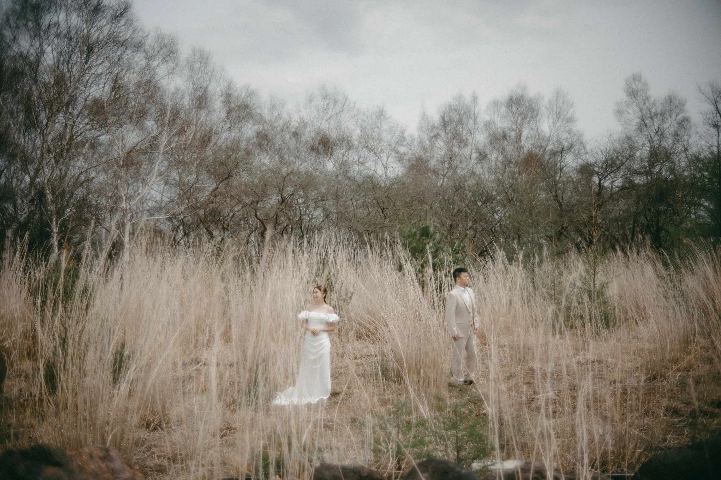 A man and woman standing apart in a field of tall, dry grass with leafless trees in the background, the woman wearing a white dress and the man in a light-colored suit.