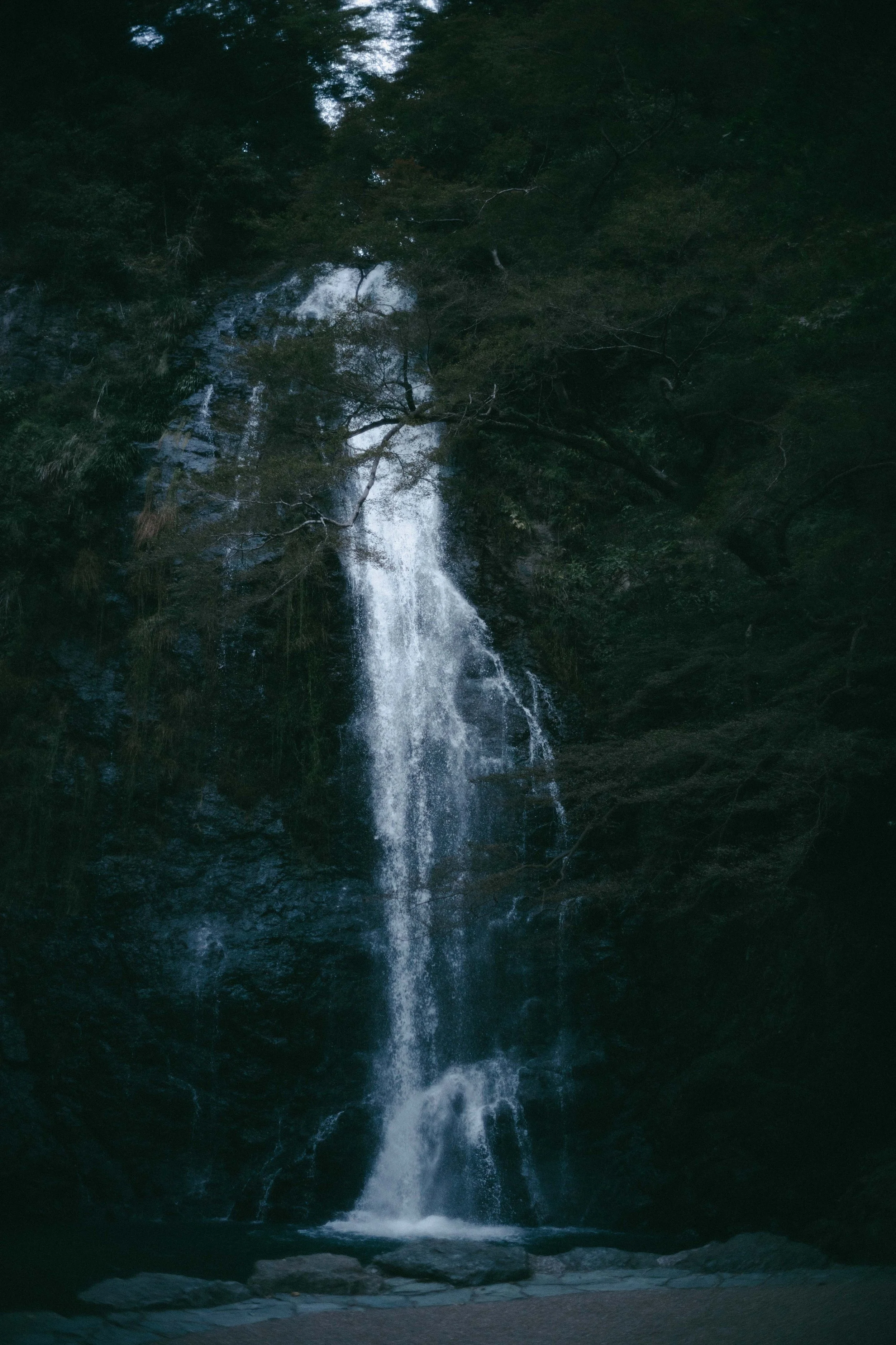Waterfall cascading down a rocky cliff surrounded by dense green foliage in a forest.