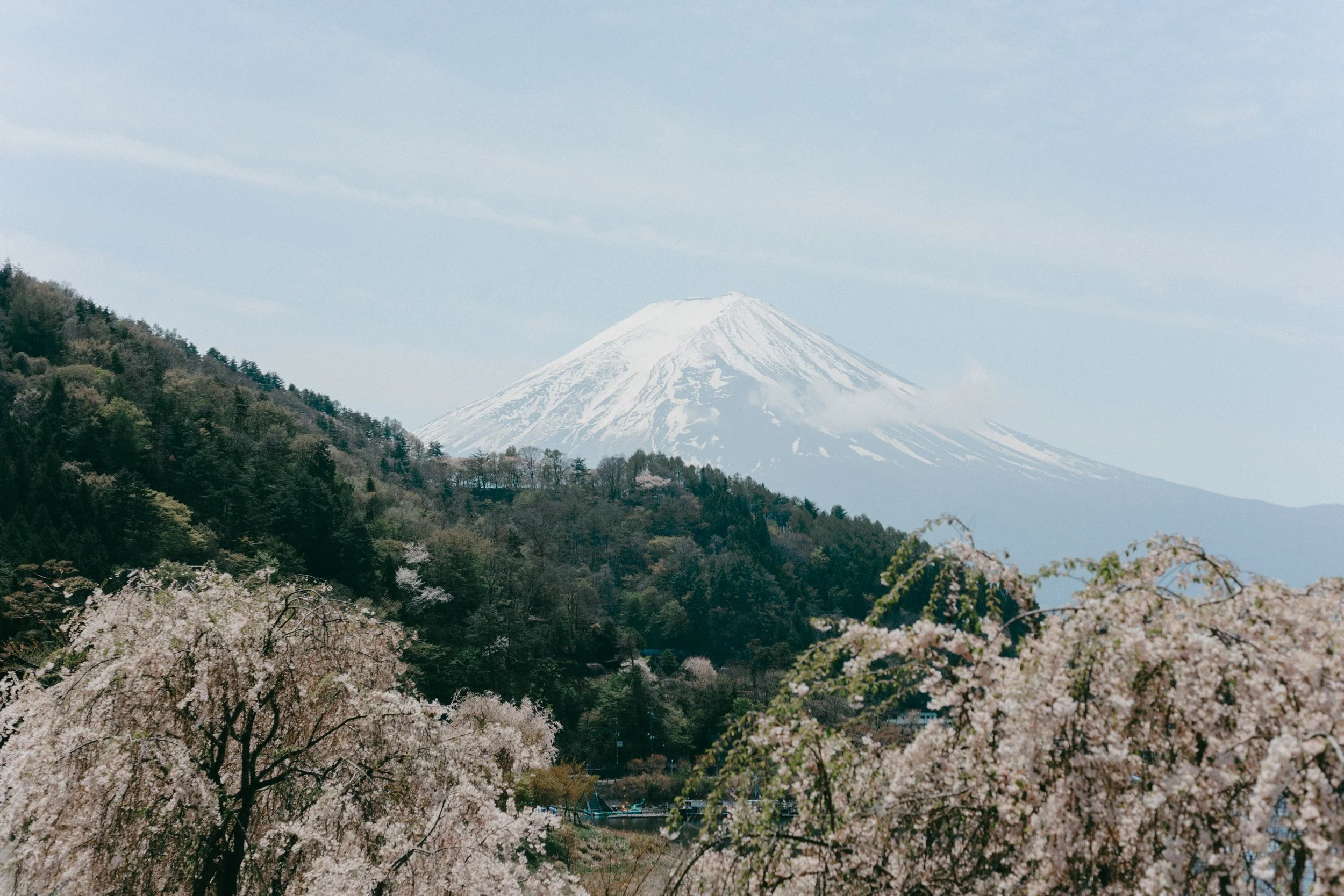26Apr18_edited-3.jpg