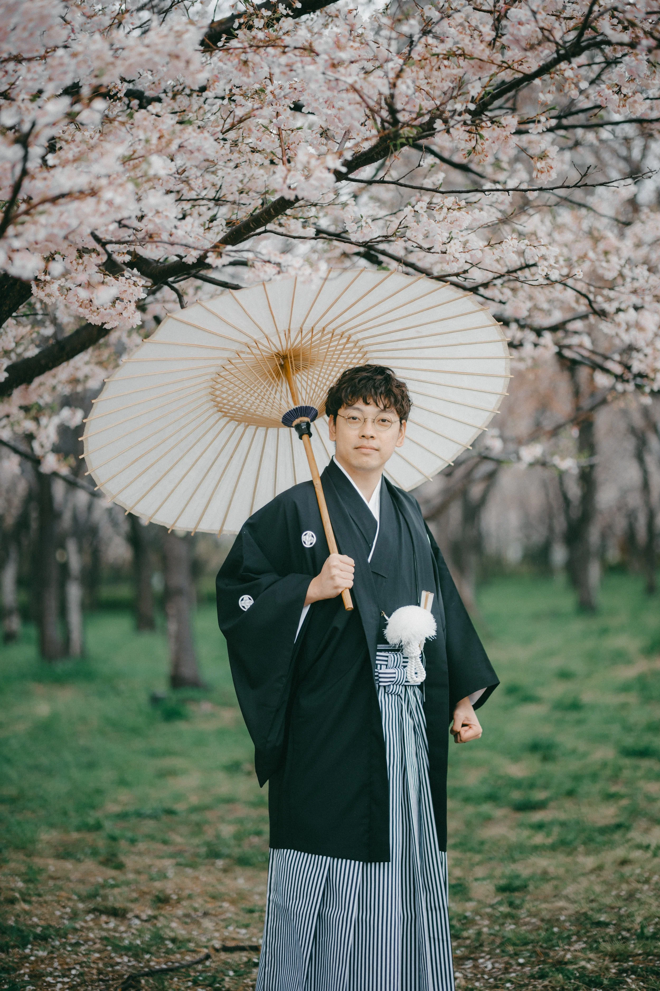 A young man dressed in traditional Japanese attire holding a parasol, standing in a cherry blossom park during spring.