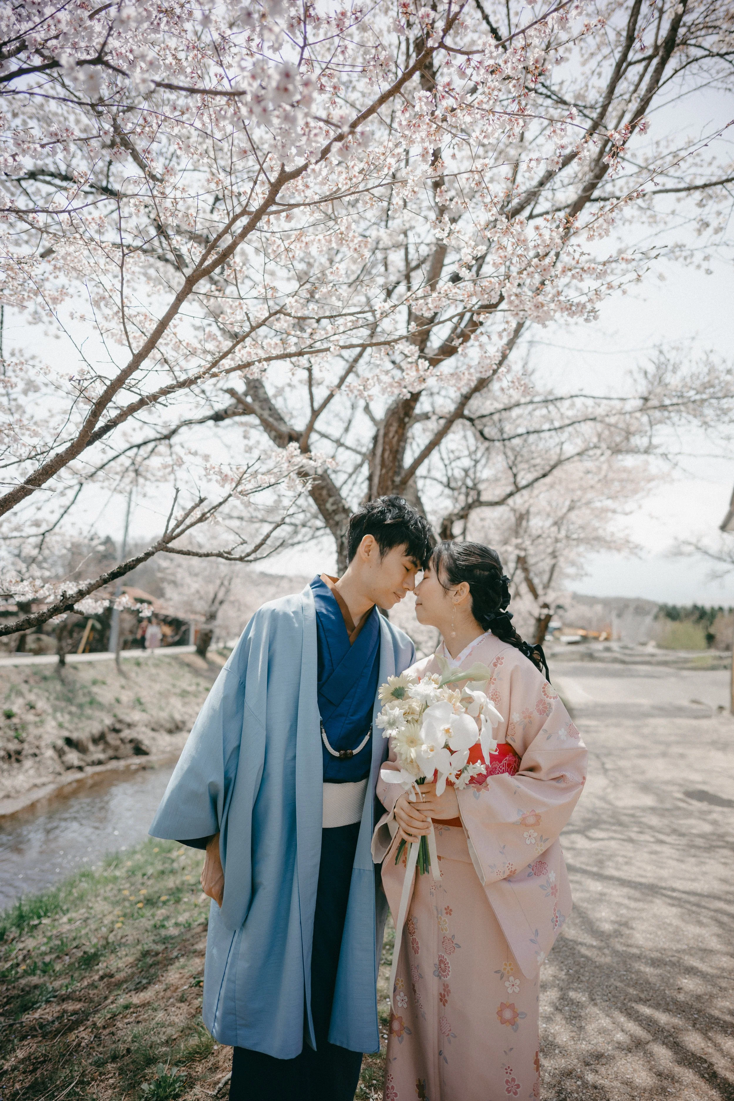 A couple dressed in traditional Japanese kimonos sharing a close moment under cherry blossom trees near a stream.