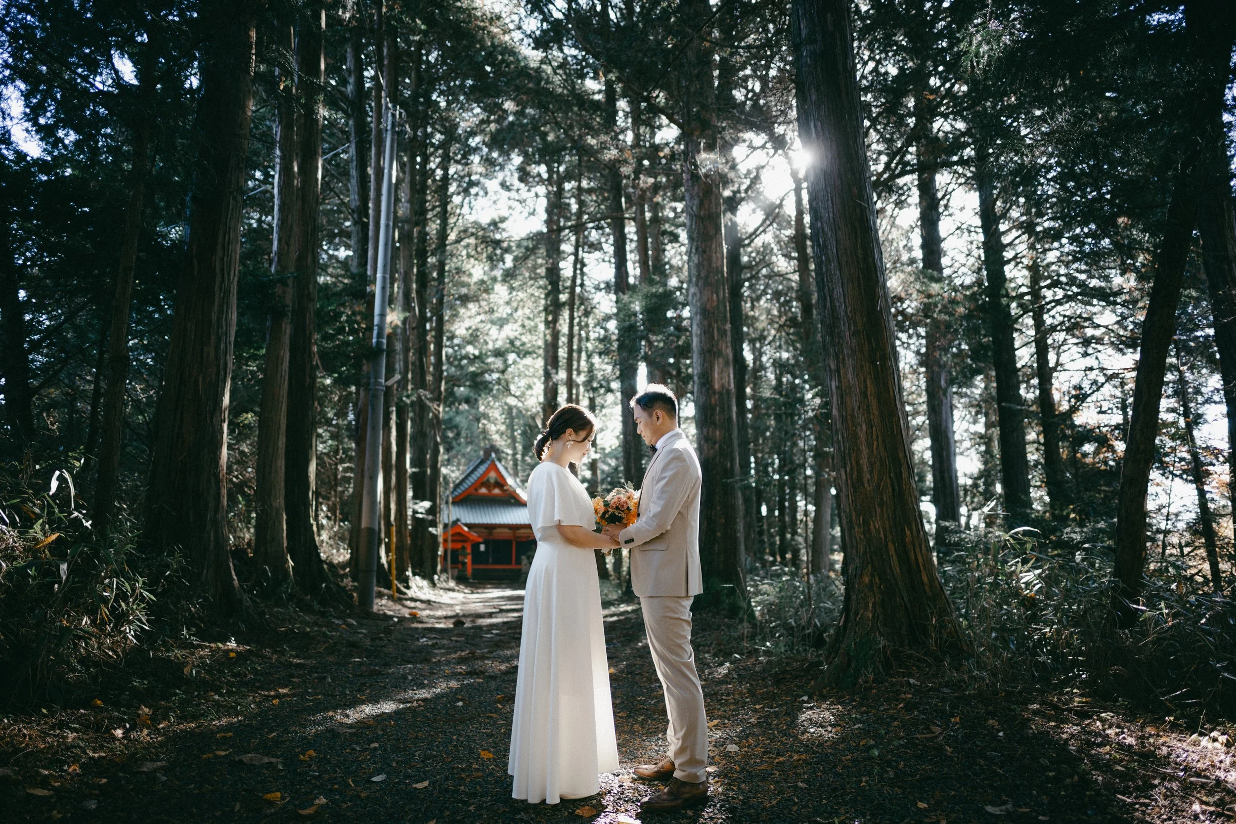 A bride and groom standing face to face in a forest, holding hands, with a small traditional building in the background and sunlight filtering through trees.