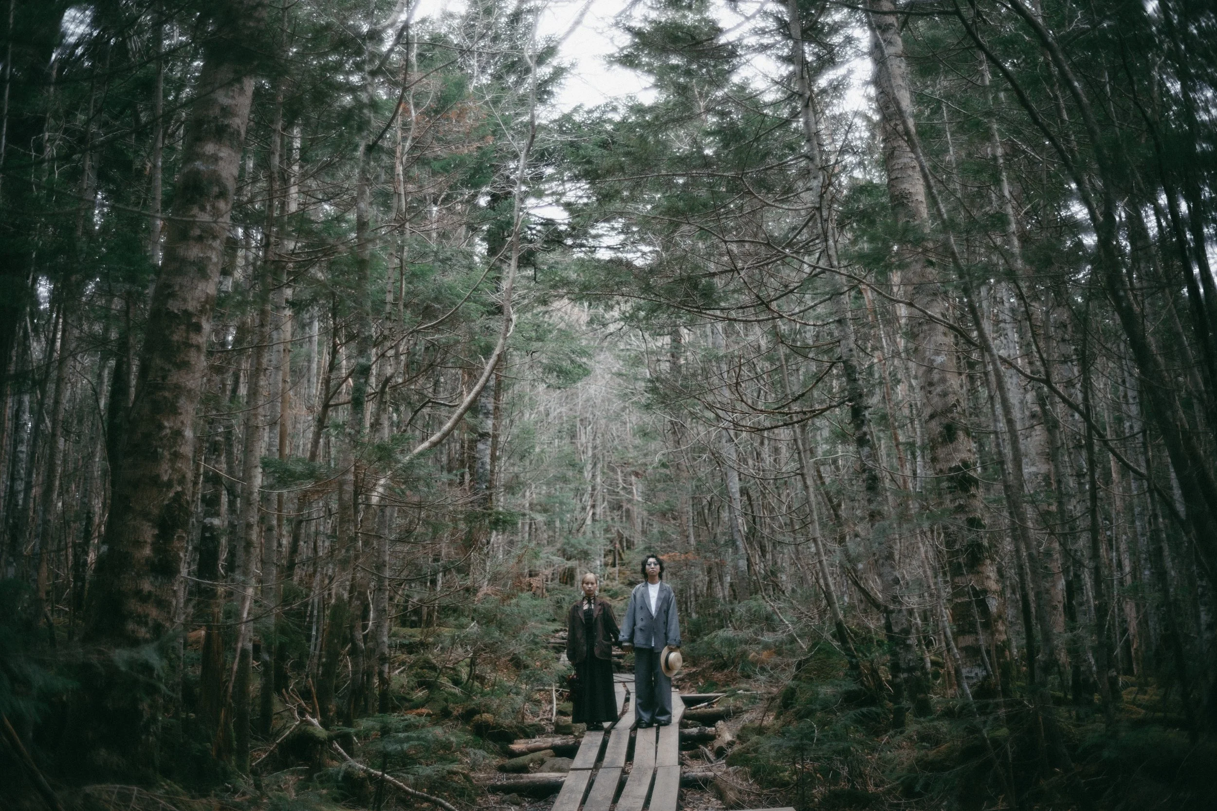 Two people standing on a wooden bridge in a dense forest, surrounded by tall trees and green foliage.