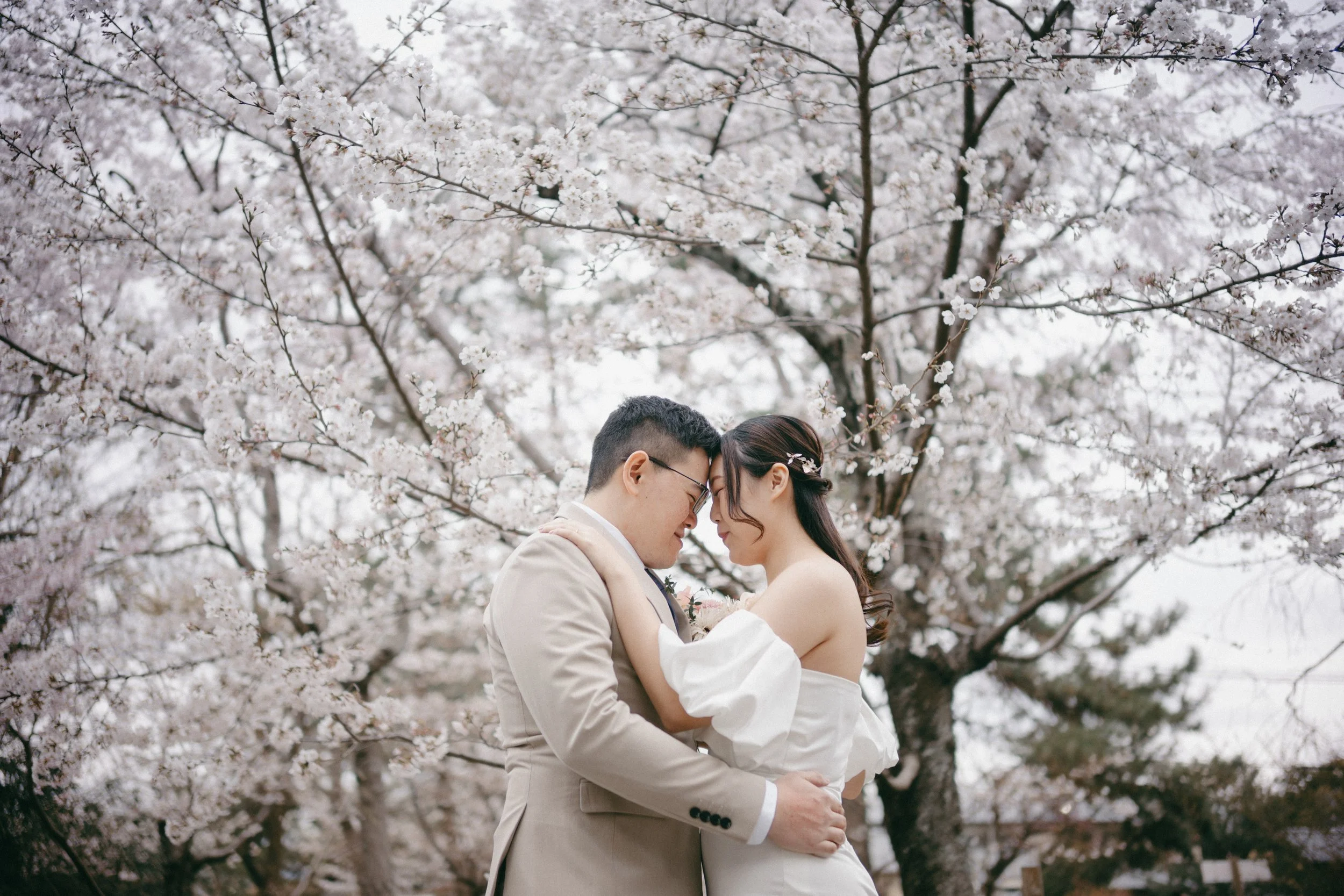 A couple dressed in formal attire stands close together under blooming cherry blossom trees, with foreheads touching and eyes closed in a romantic pose.