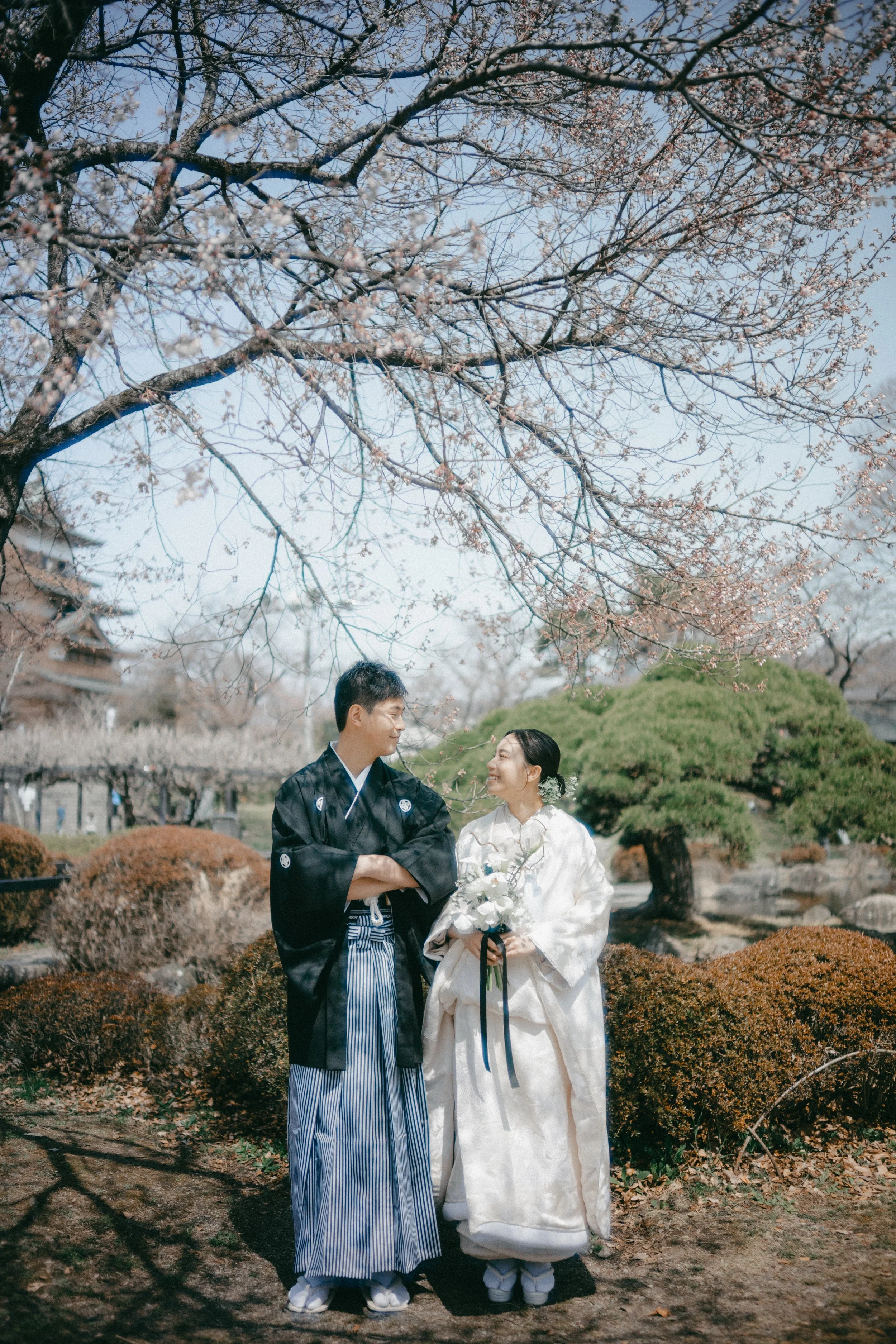 A couple in traditional Japanese wedding attire standing in a garden with cherry blossoms, Oaks, and a pagoda in the background, sharing a moment of happiness.