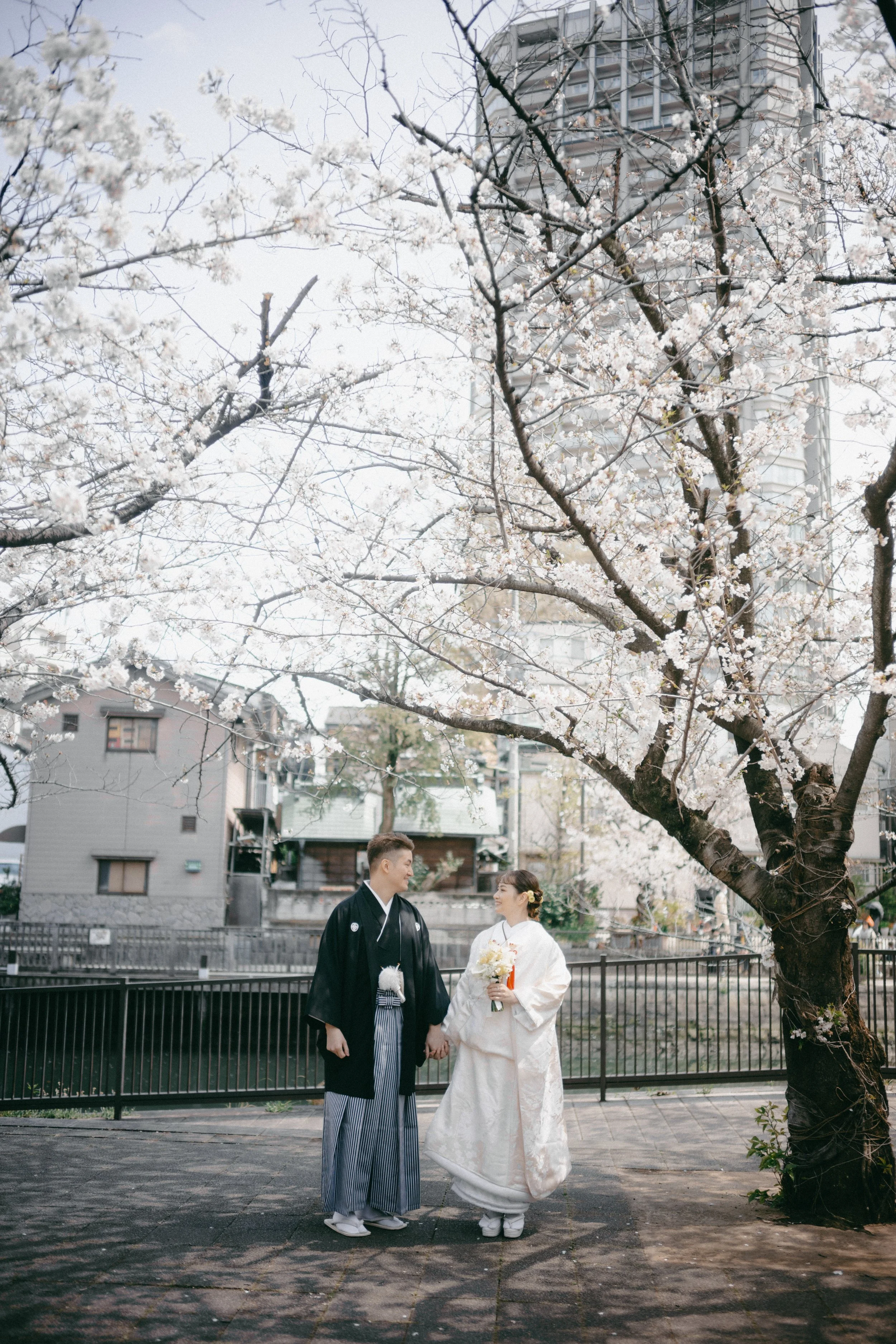 A couple in traditional Japanese wedding attire holding hands and smiling at each other under cherry blossom trees in full bloom.