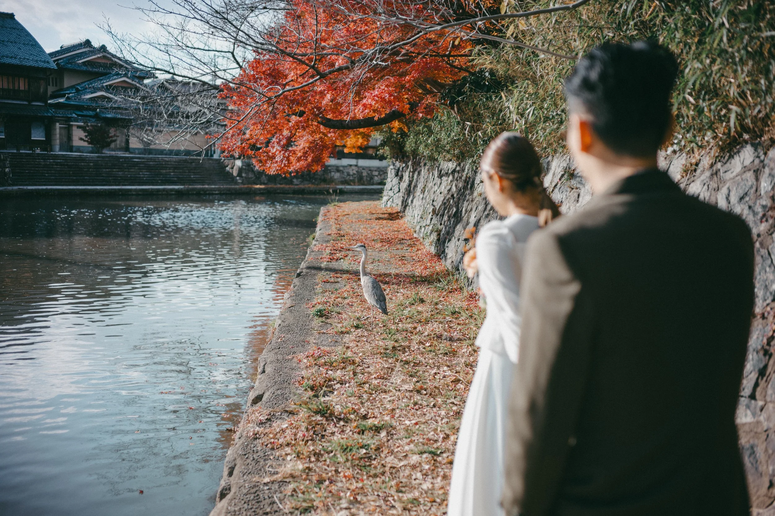 A couple in formal attire standing by a riverbank with autumn foliage, a heron standing near the water, and houses in the background.