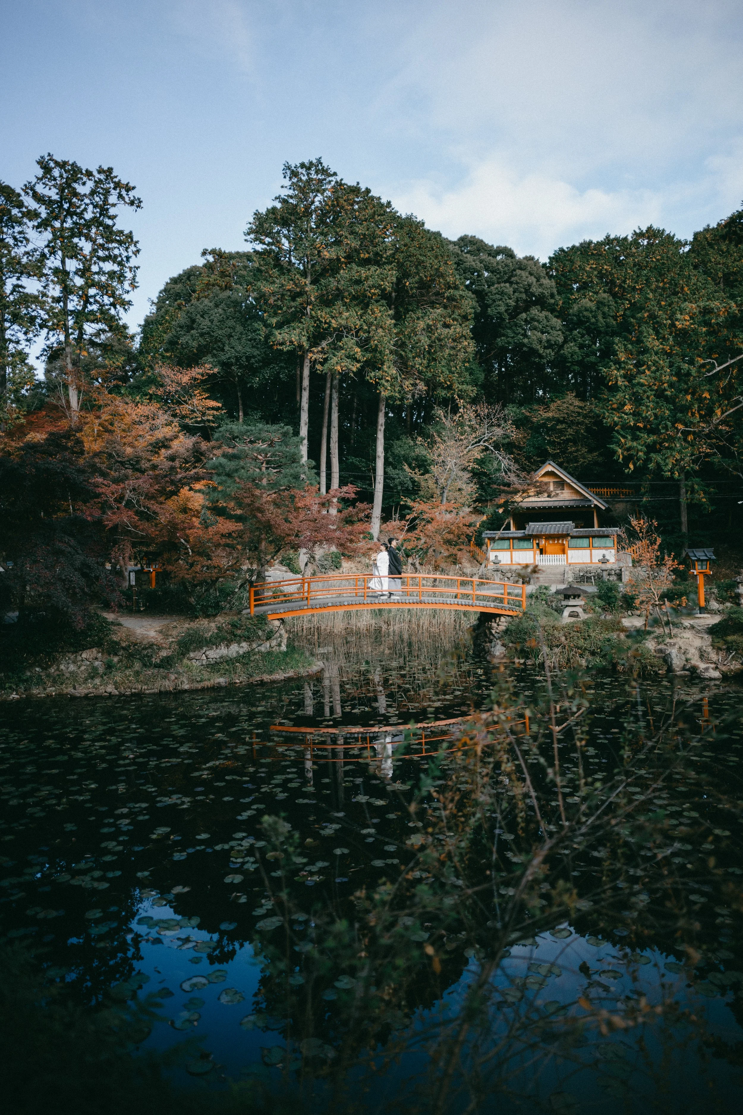 A peaceful Japanese garden with a pond, a small red bridge, a traditional house, and trees with green and autumn-colored leaves.