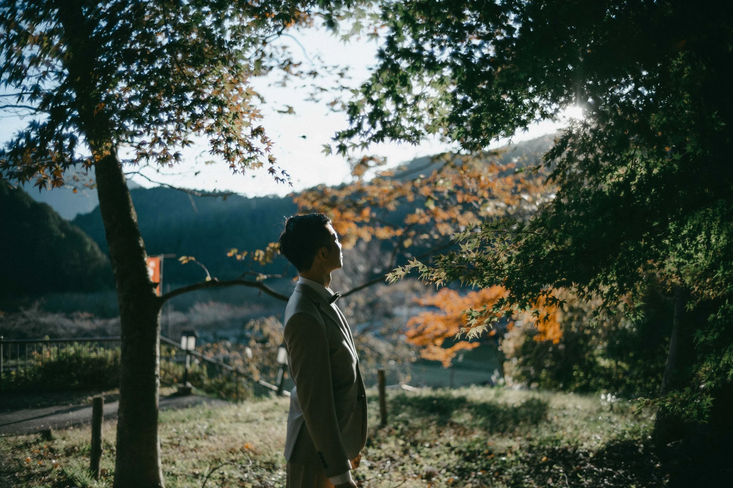 A man in a suit standing outdoors in a park, facing left, surrounded by trees with autumn-colored leaves, with mountains in the background and sunlight filtering through the trees.