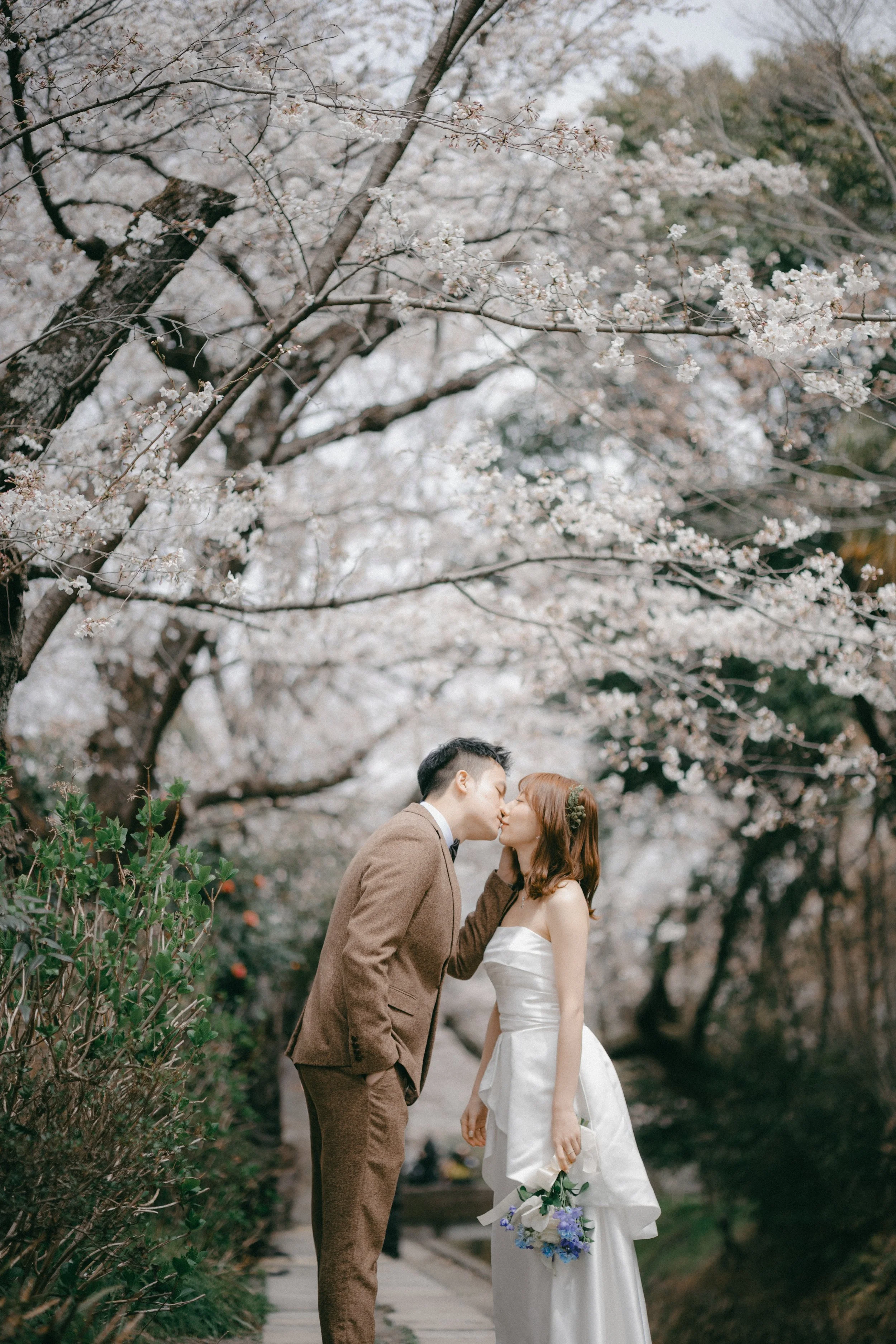 A couple in wedding attire kissing beneath blooming cherry blossom trees.