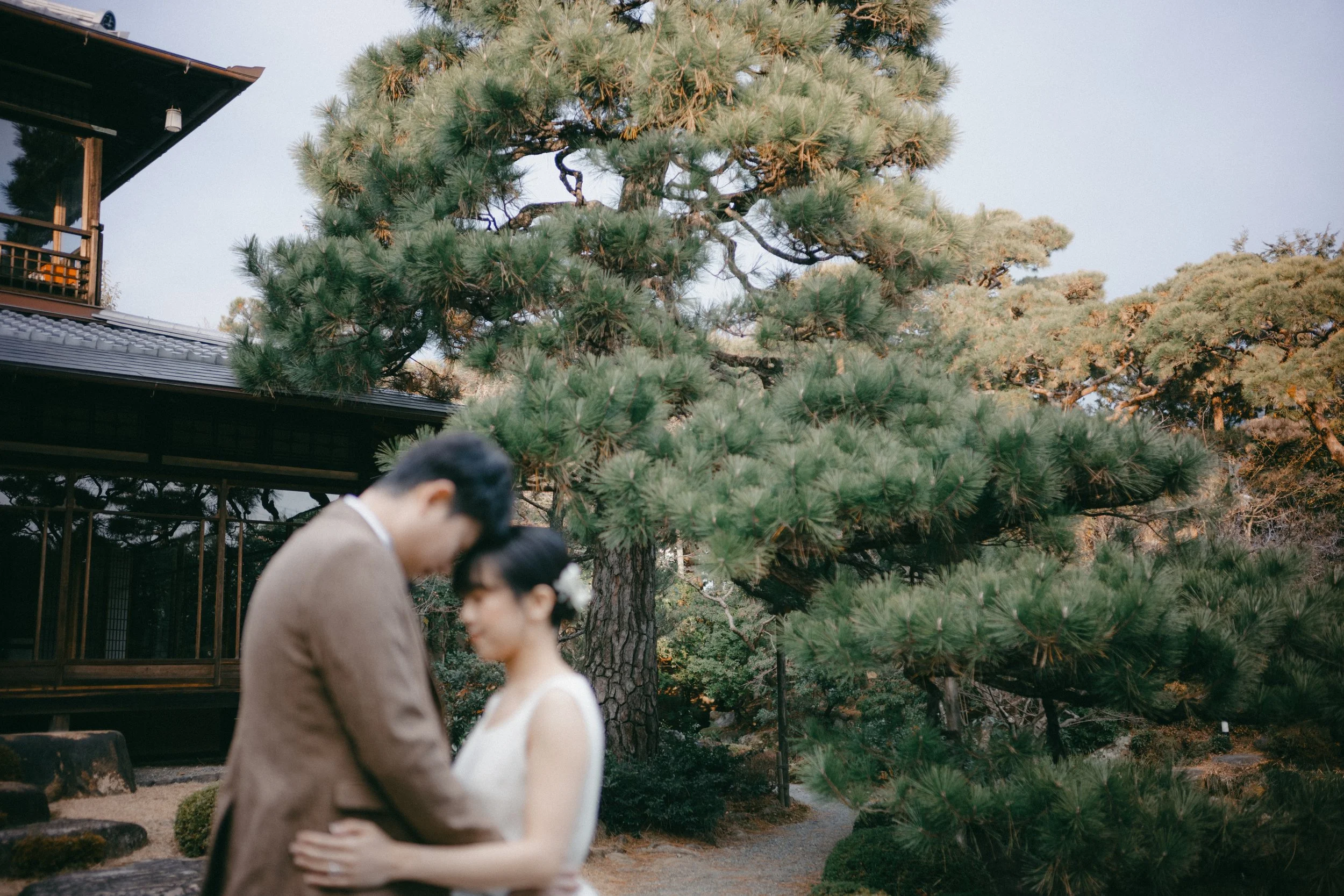 A blurred couple standing close together in a garden with large pine trees, part of a traditional Japanese building in the background.