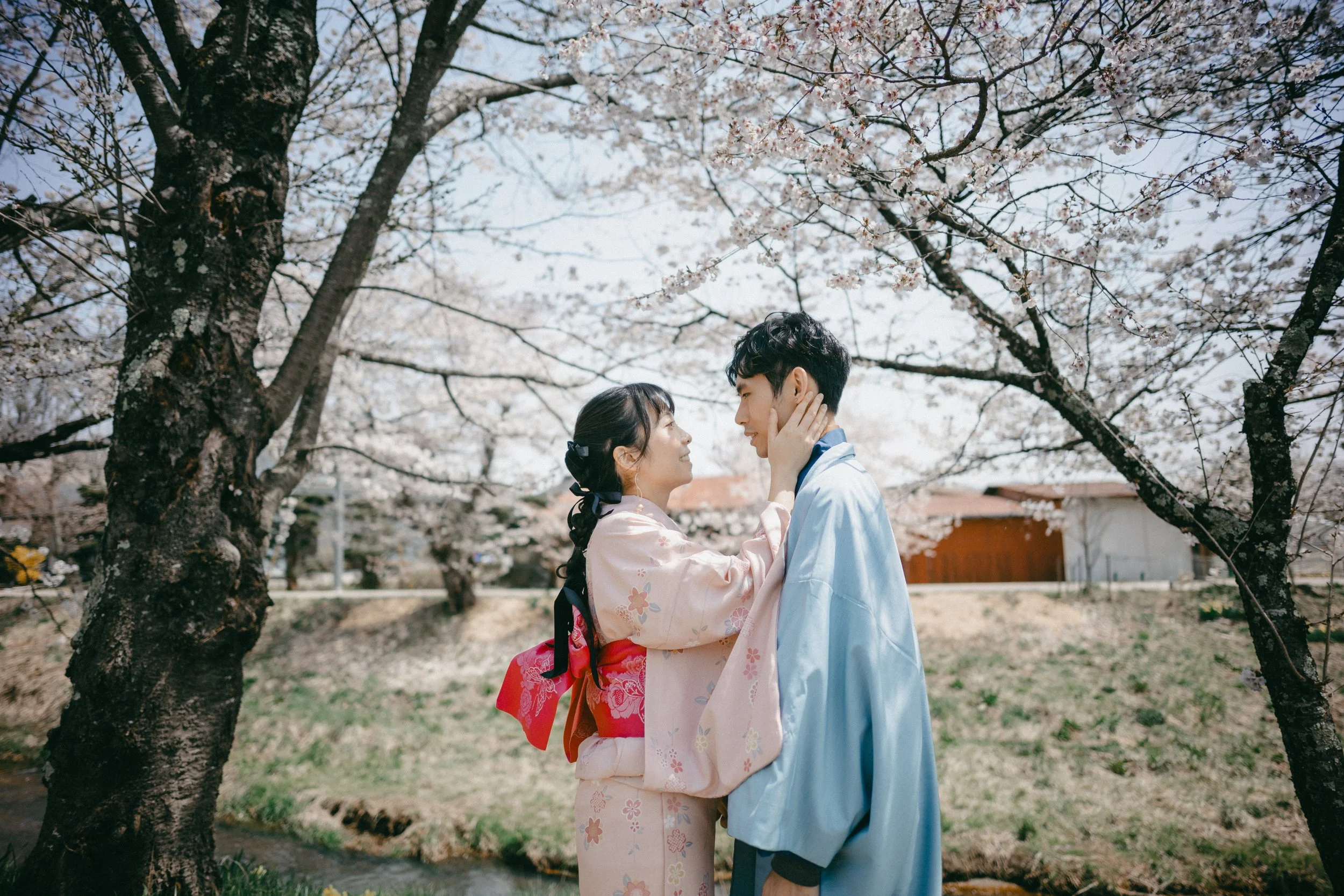 A young woman and man dressed in traditional Japanese yukatas sharing a moment under blooming cherry blossom trees.
