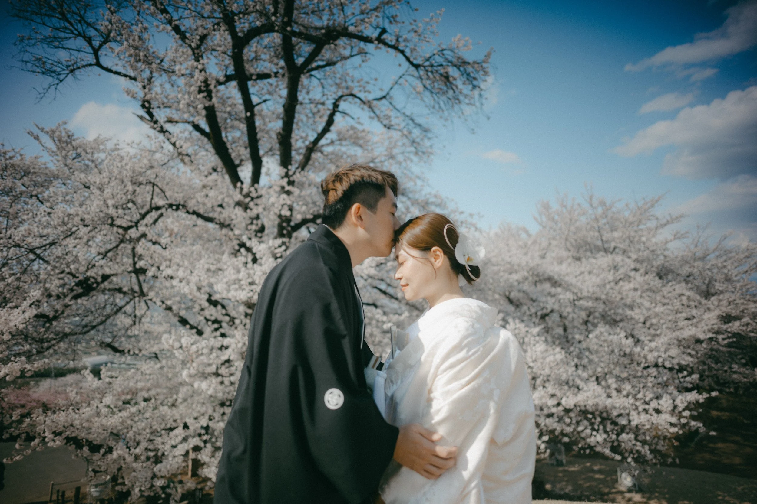 A couple dressed in traditional Japanese wedding attire sharing a tender moment under blooming cherry blossom trees with a bright blue sky.