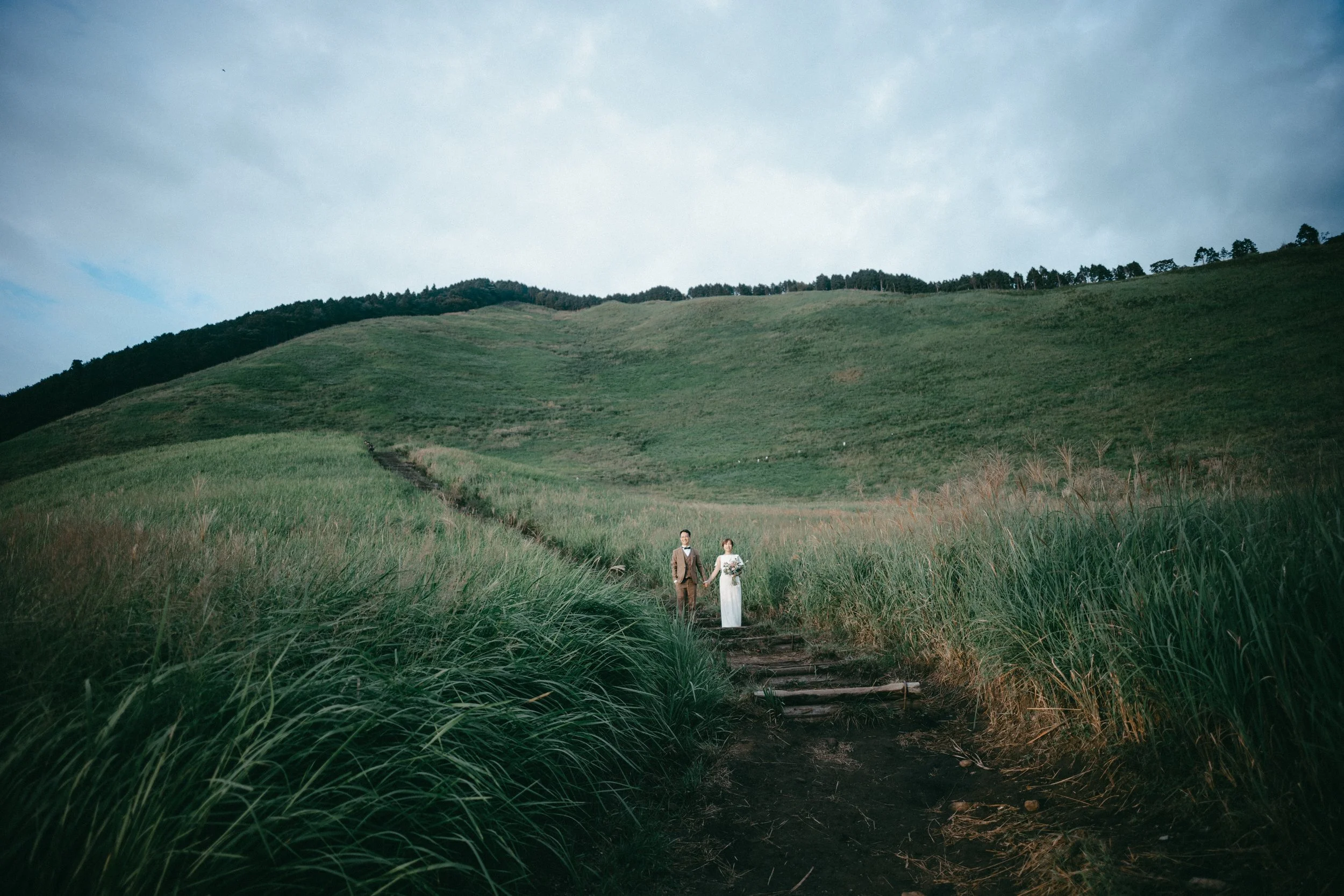 A bride and groom holding hands, walking along a dirt path with wooden steps through tall grass in a lush, green landscape with hills and a cloudy sky.