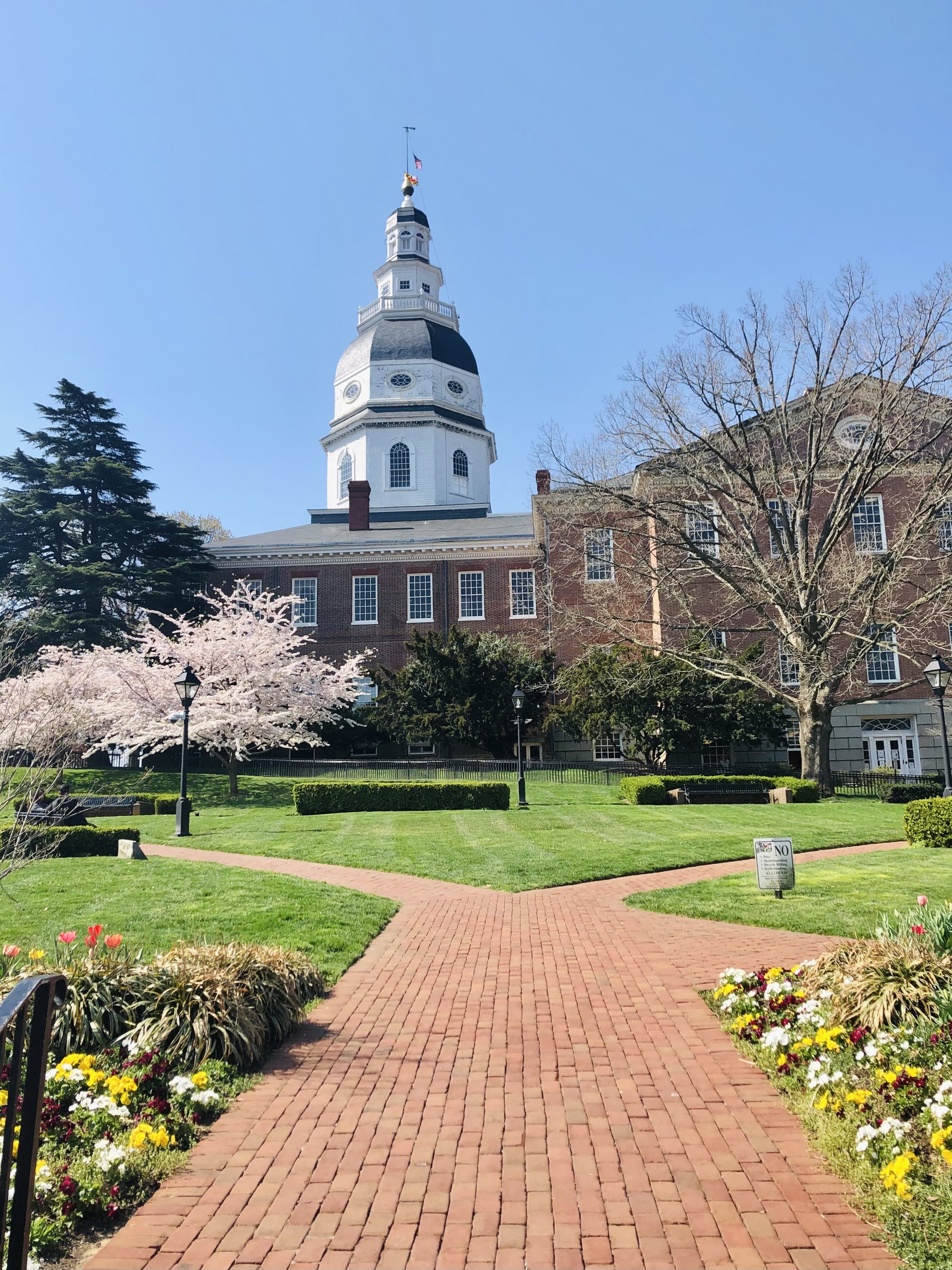 MY PERFECT ANNAPOLIS SUMMER